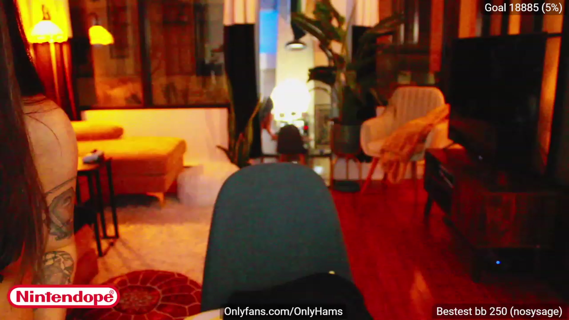 Gallery image thumbnail from NINTEND0PE's myfreecams stream on, 12/16/2022, 03:54 image 15 of 20