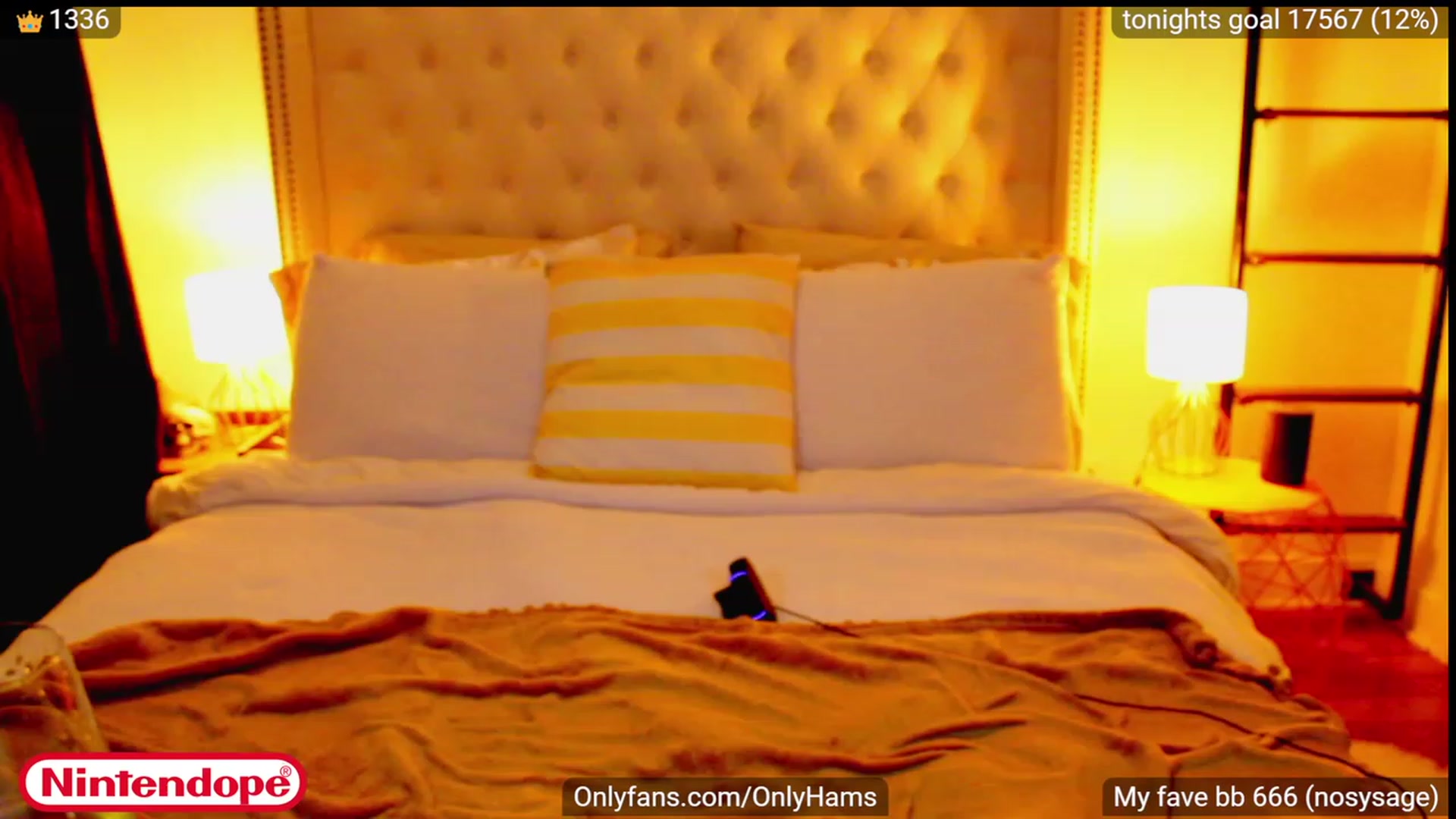 Gallery image thumbnail from NINTEND0PE's myfreecams stream on, 03/08/2023, 04:28 image 19 of 20