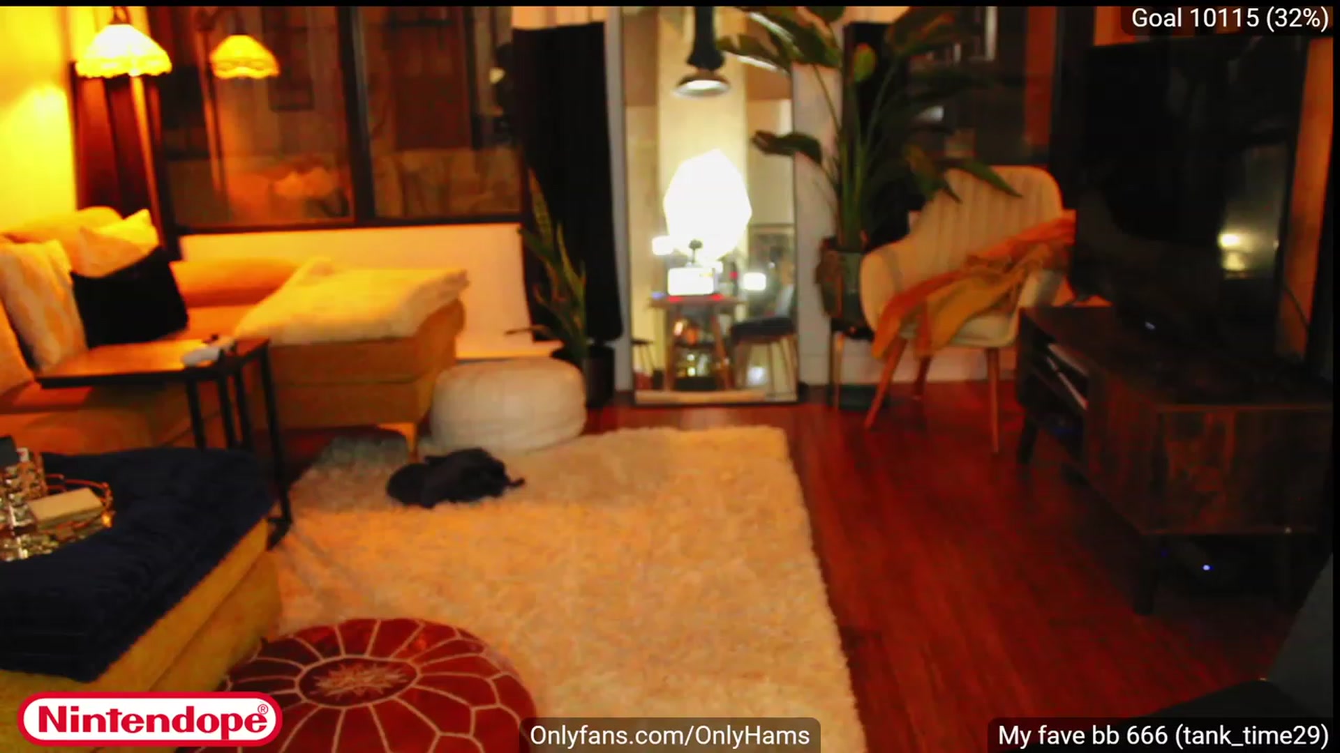 Gallery image thumbnail from NINTEND0PE's myfreecams stream on, 03/26/2023, 05:29 image 13 of 20