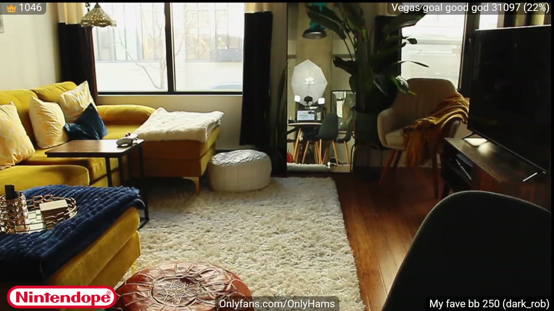 Gallery image thumbnail from NINTEND0PE's myfreecams stream on, 04/20/2023, 19:20 image 9 of 20