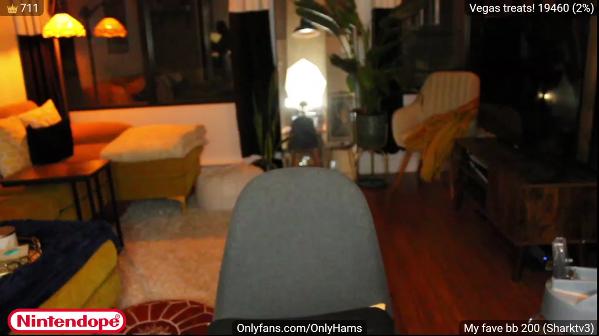 Gallery image thumbnail from NINTEND0PE's myfreecams stream on, 05/16/2023, 04:06 image 2 of 20