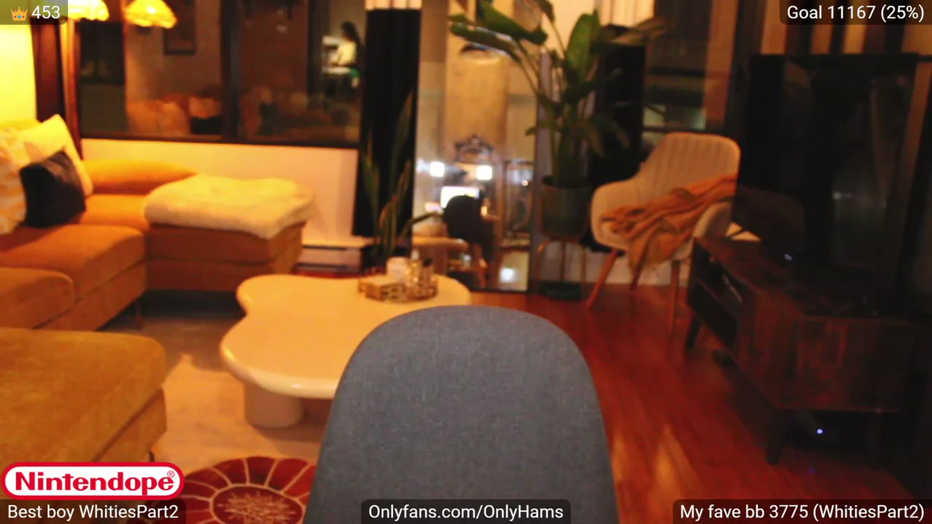 Gallery image thumbnail from NINTEND0PE's myfreecams stream on, 10/08/2023, 24:04 image 18 of 20