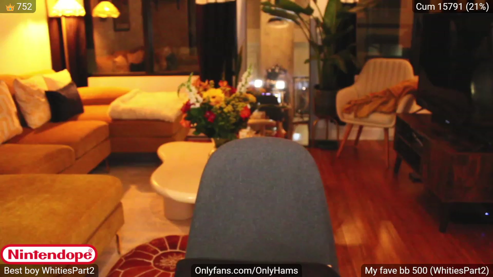 Gallery image thumbnail from NINTEND0PE's myfreecams stream on, 10/21/2023, 03:42 image 8 of 20