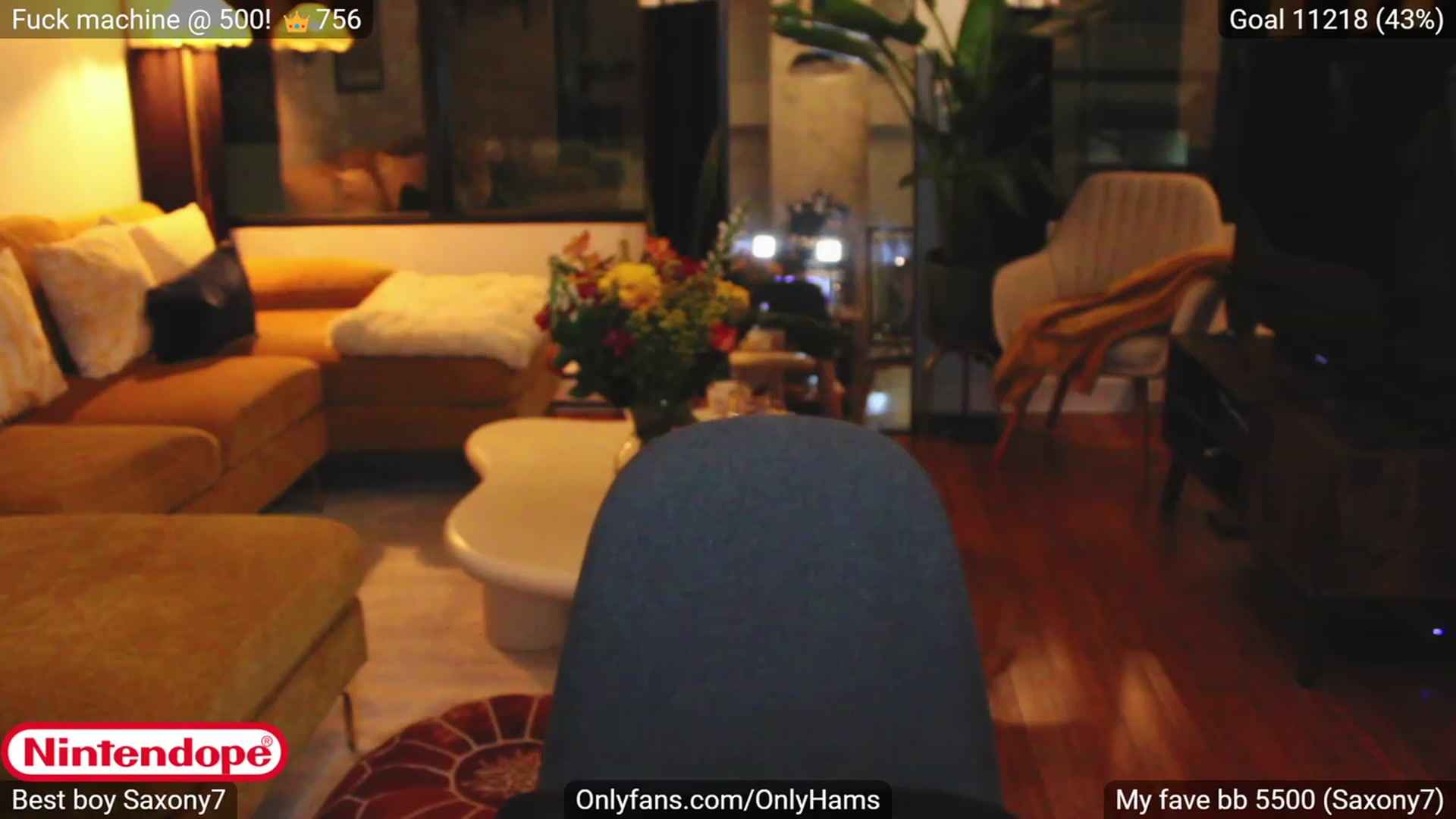 Gallery image thumbnail from NINTEND0PE's myfreecams stream on, 10/26/2023, 02:36 image 4 of 20