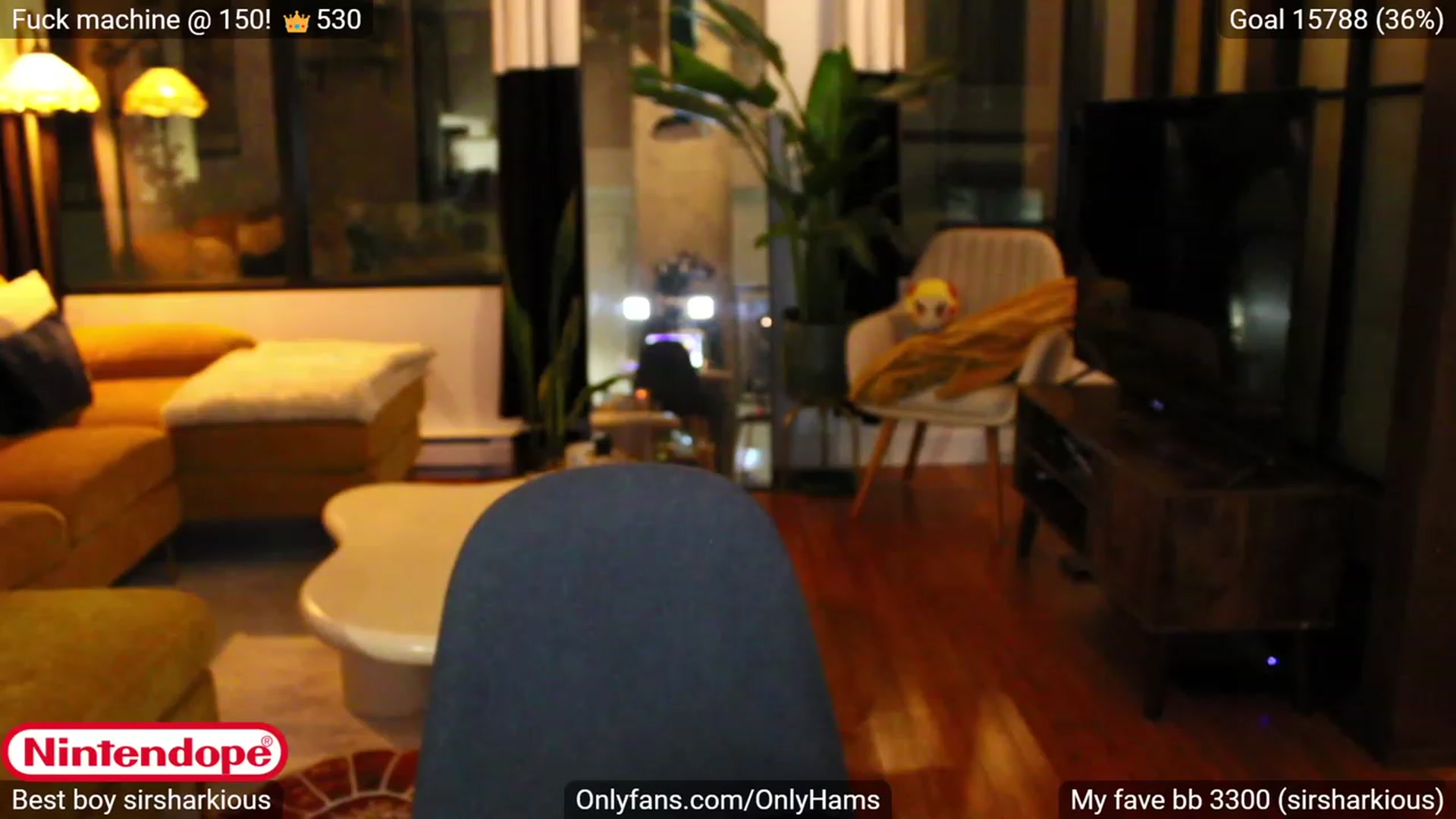 Gallery image thumbnail from NINTEND0PE's myfreecams stream on, 11/04/2023, 04:25 image 3 of 20
