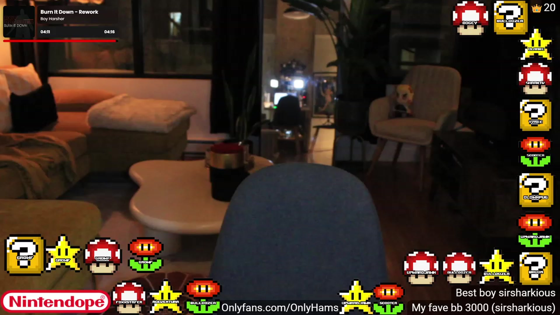 Gallery image thumbnail from NINTEND0PE's myfreecams stream on, 01/10/2024, 24:01 image 6 of 20
