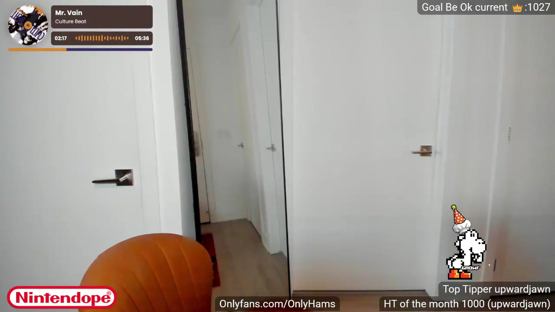 Gallery image thumbnail from NINTEND0PE's myfreecams stream on, 06/05/2026, 02:25 image 5 of 20