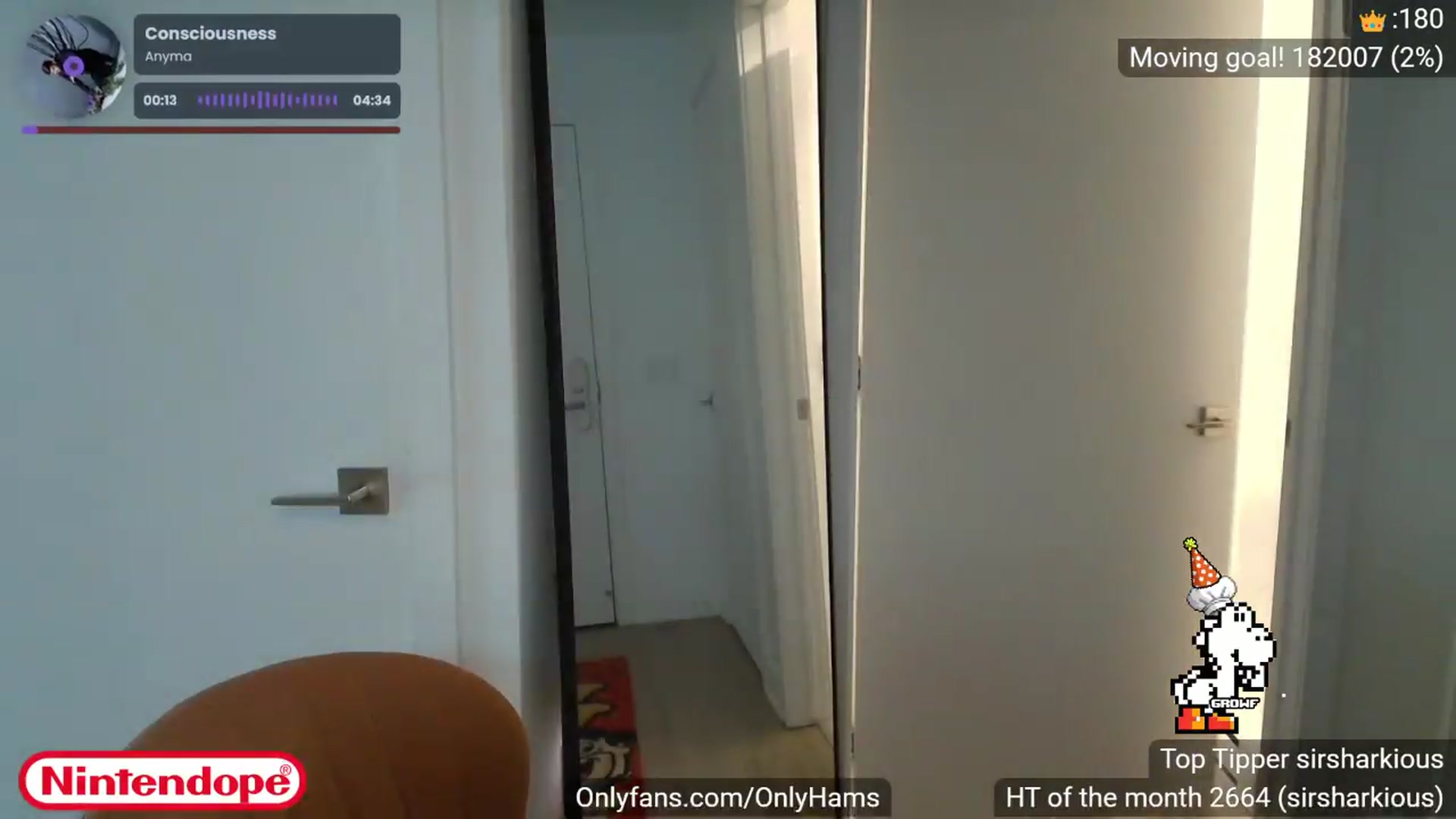 Gallery image thumbnail from NINTEND0PE's myfreecams stream on, 08/02/2026, 24:06 image 11 of 20