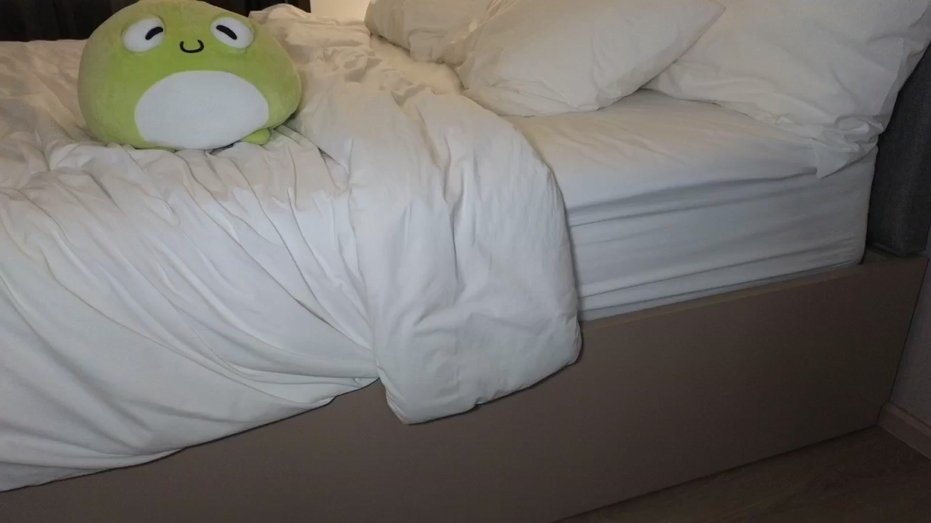 Gallery image thumbnail from NMxxxxx's myfreecams stream on, 10/21/2024, 08:48 image 4 of 20