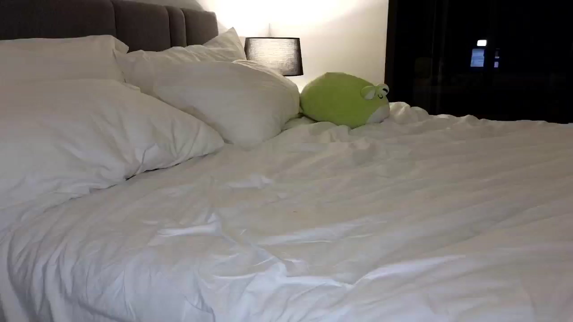 Gallery image thumbnail from NMxxxxx's myfreecams stream on, 10/25/2024, 10:12 image 14 of 20