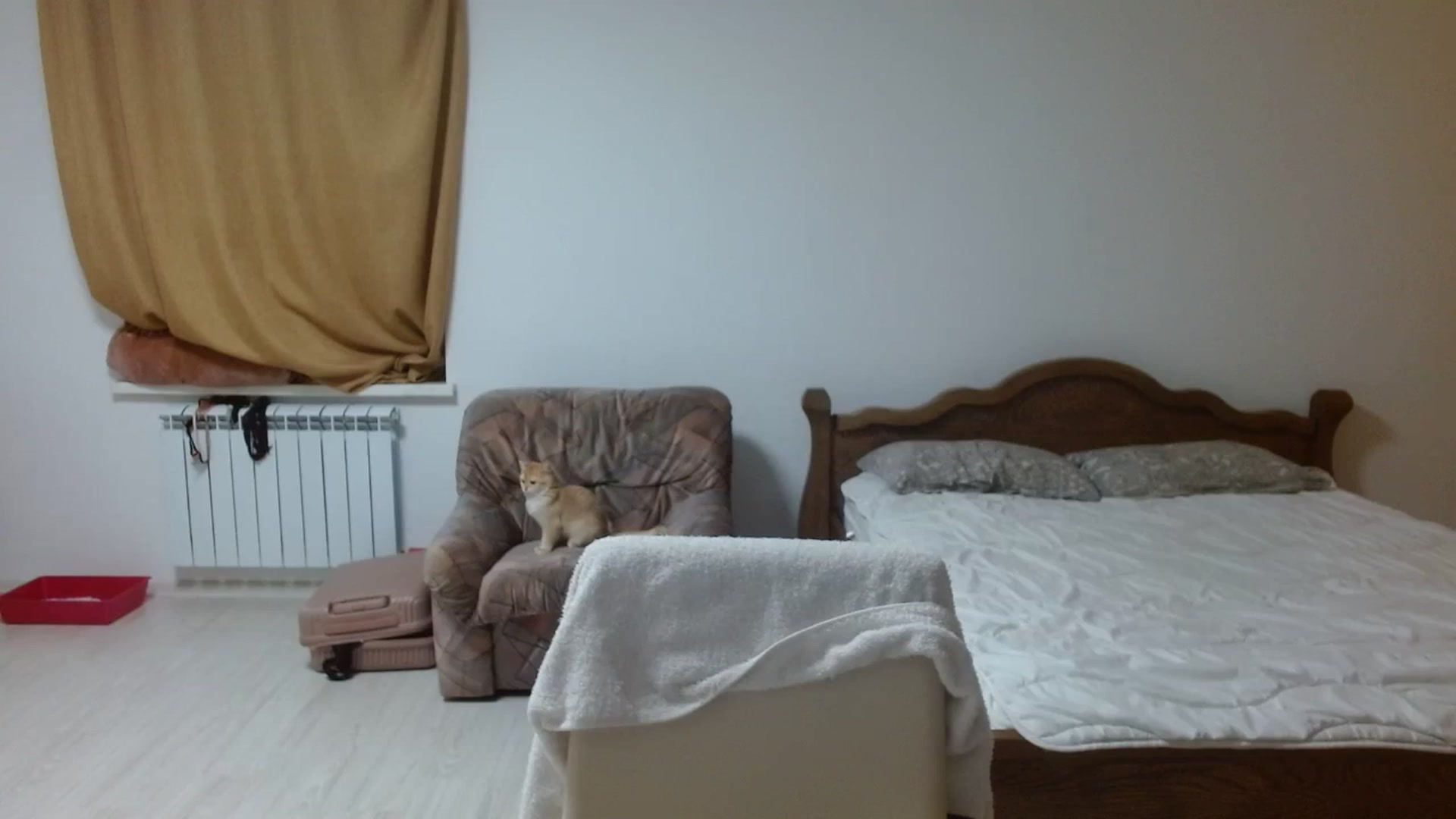 Gallery image thumbnail from NONAME_'s myfreecams stream on, 11/17/2023, 18:19 image 13 of 20