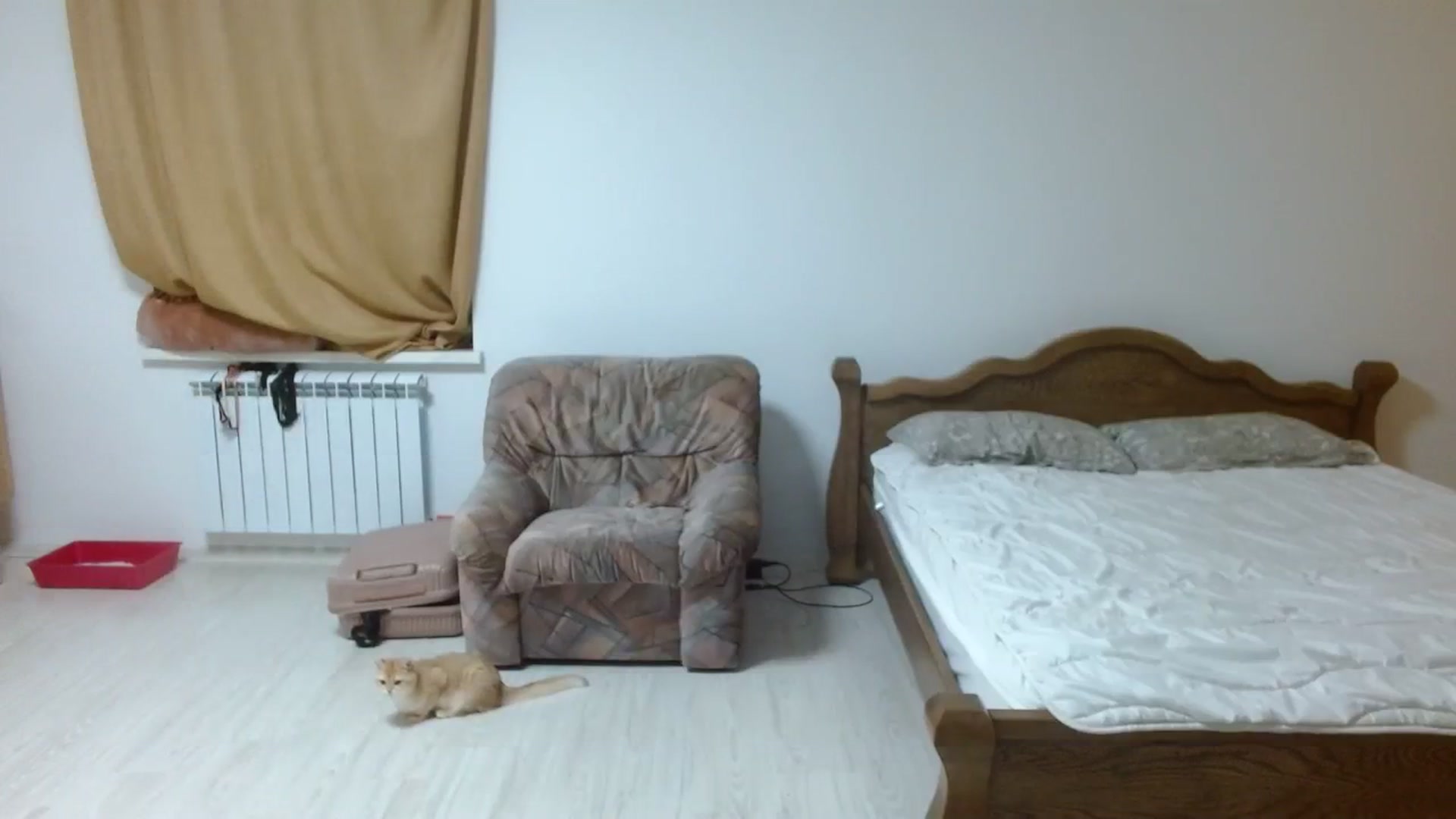 Gallery image thumbnail from NONAME_'s myfreecams stream on, 11/17/2023, 18:19 image 3 of 20