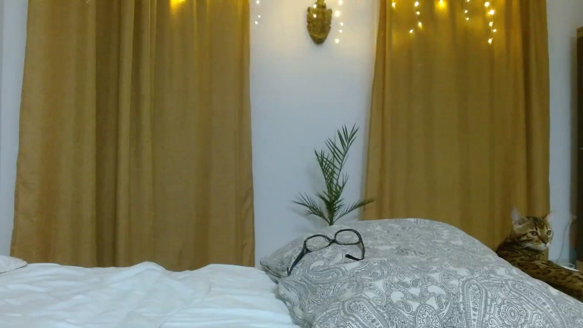 Gallery image thumbnail from NONAME_'s myfreecams stream on, 11/19/2023, 01:17 image 3 of 20