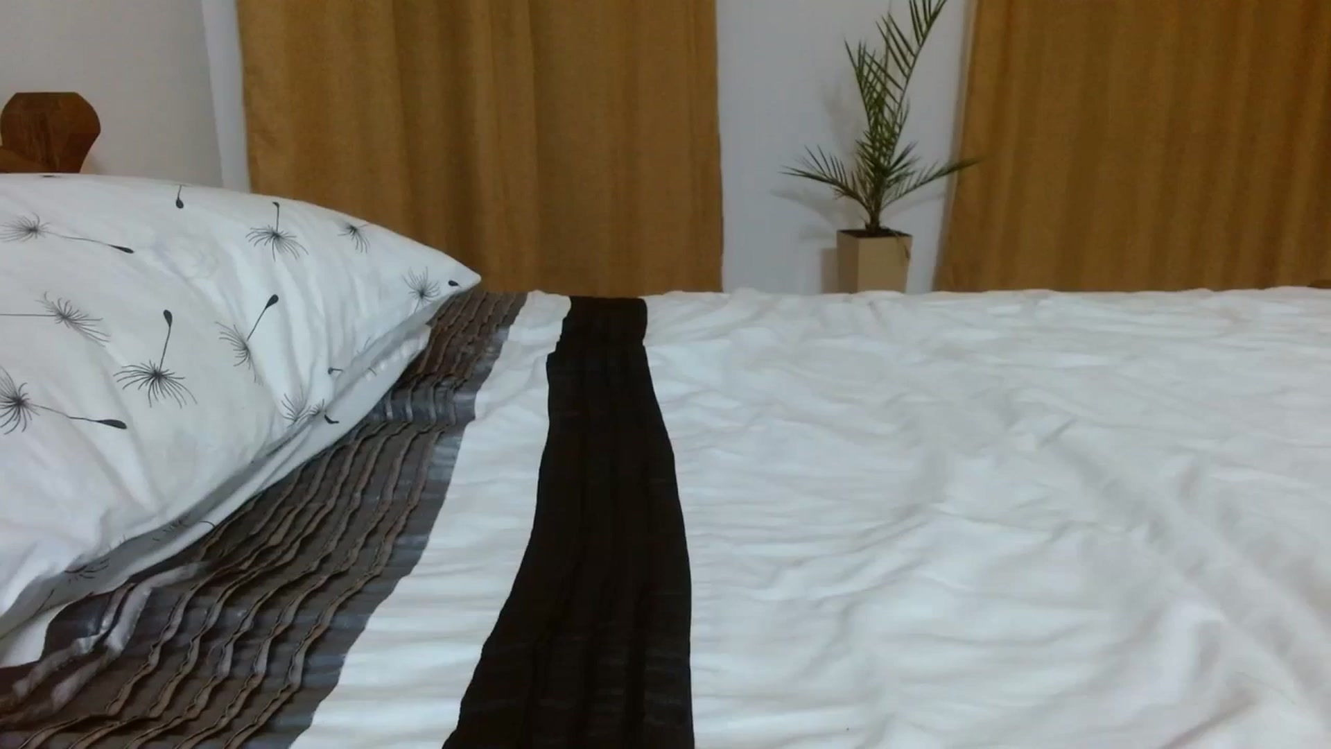 Gallery image thumbnail from NONAME_'s myfreecams stream on, 11/23/2023, 24:19 image 8 of 20