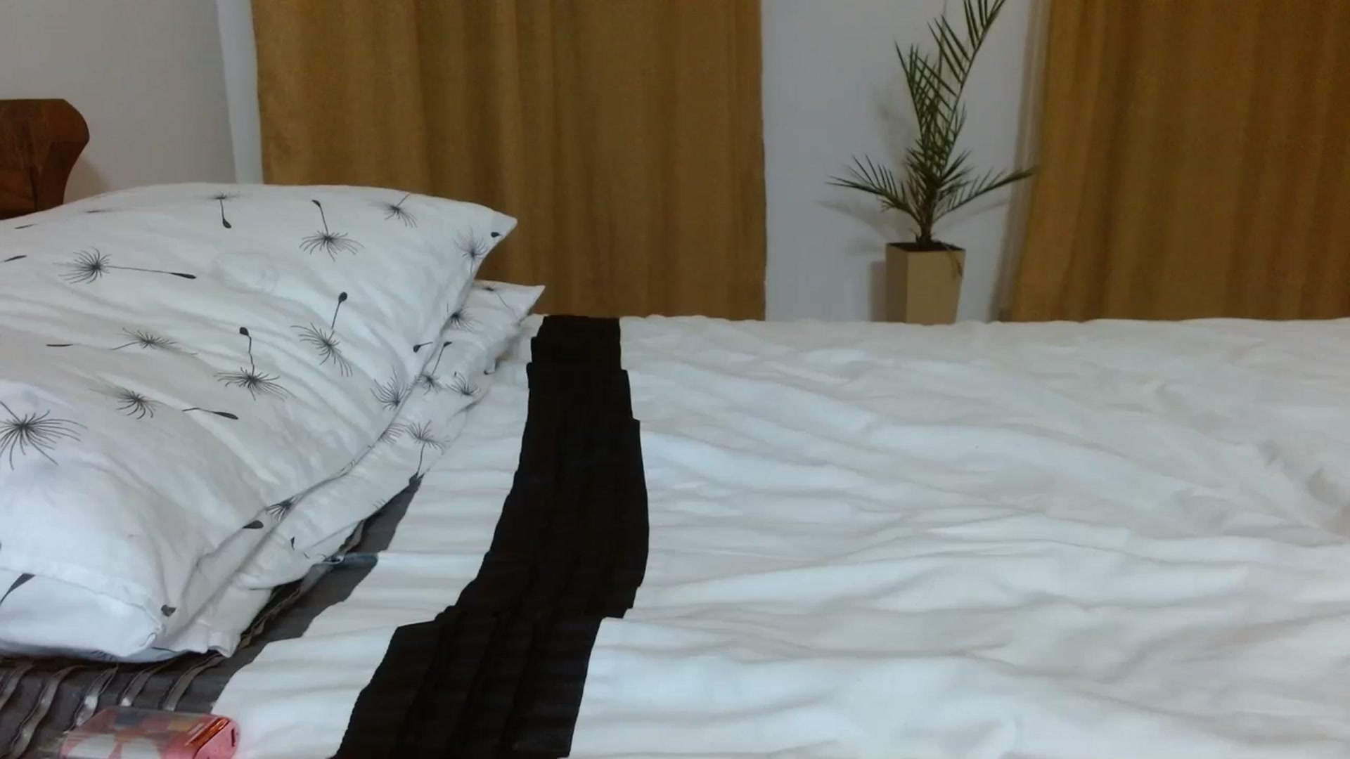 Gallery image thumbnail from NONAME_'s myfreecams stream on, 11/23/2023, 04:55 image 20 of 20