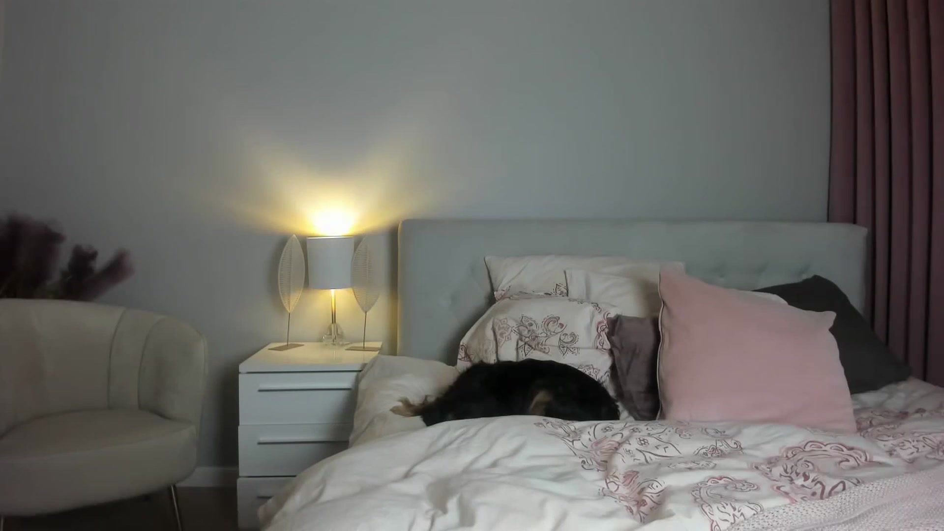 Gallery image thumbnail from Nadyasoft's myfreecams stream on, 05/04/2023, 23:10 image 2 of 20