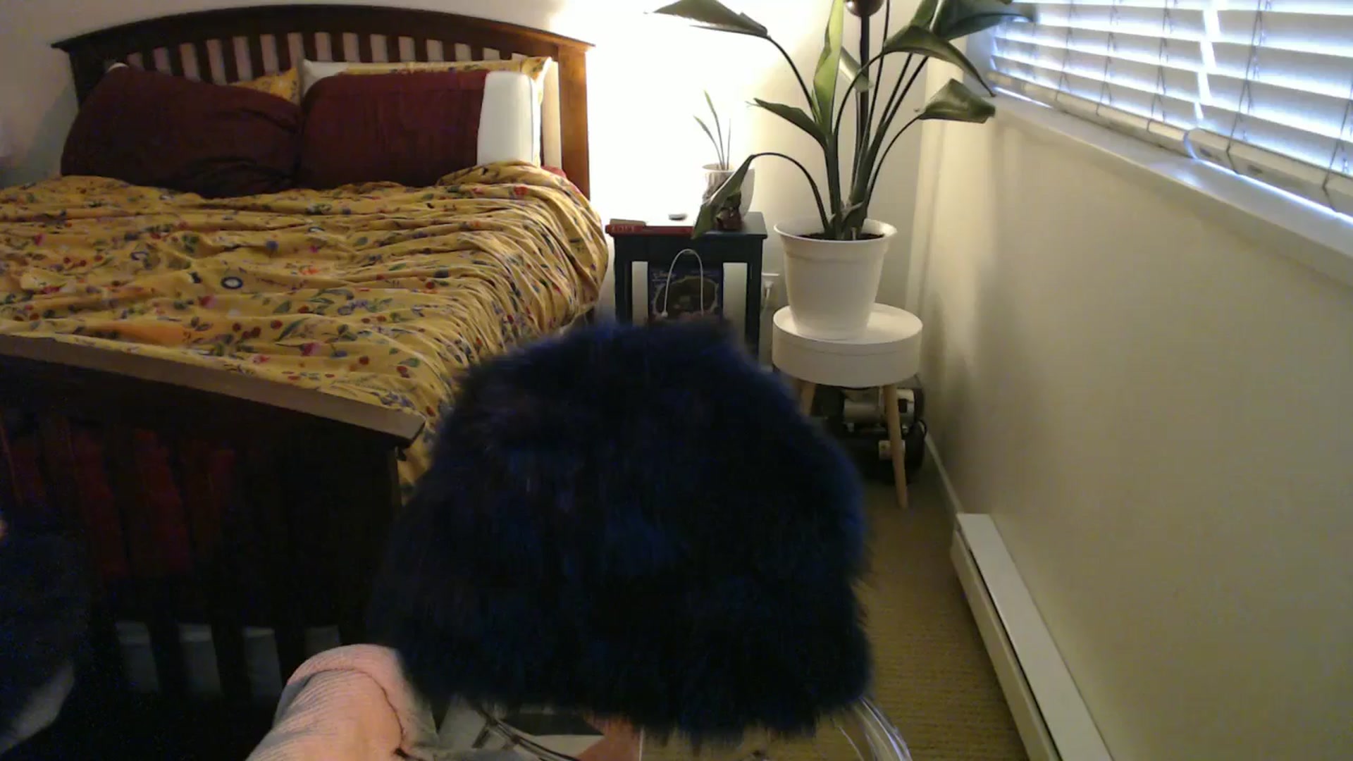 Gallery image thumbnail from NahlaHoney's myfreecams stream on, 08/21/2024, 03:42 image 15 of 20