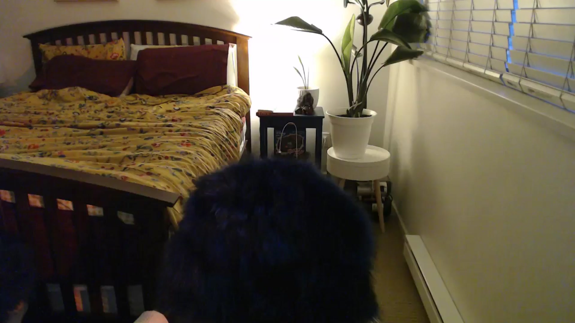 Gallery image thumbnail from NahlaHoney's myfreecams stream on, 08/26/2024, 03:54 image 3 of 20