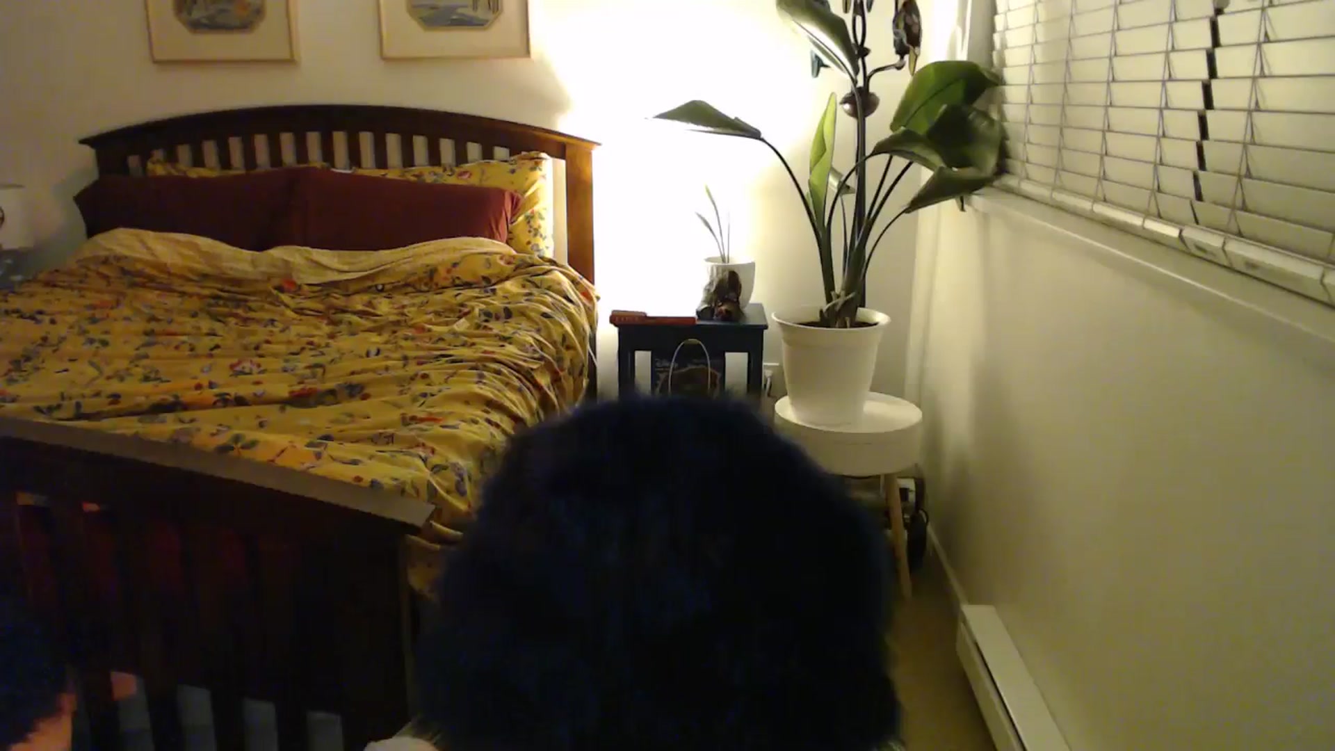Gallery image thumbnail from NahlaHoney's myfreecams stream on, 09/05/2024, 04:32 image 15 of 20