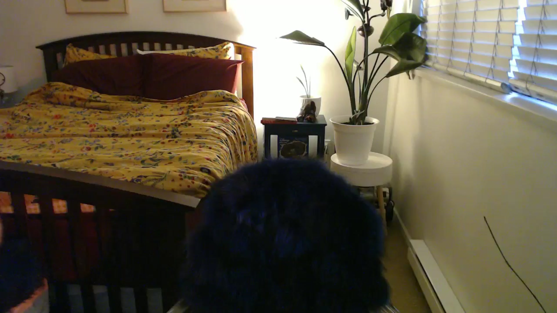 Gallery image thumbnail from NahlaHoney's myfreecams stream on, 09/09/2024, 03:58 image 10 of 20