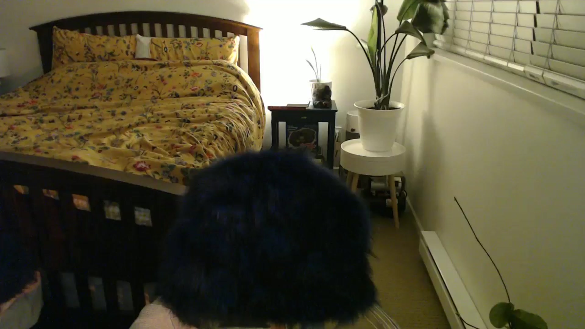 Gallery image thumbnail from NahlaHoney's myfreecams stream on, 09/19/2024, 04:57 image 3 of 20