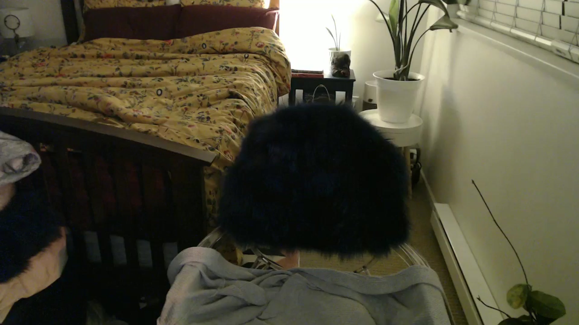 Gallery image thumbnail from NahlaHoney's myfreecams stream on, 09/24/2024, 03:11 image 16 of 20