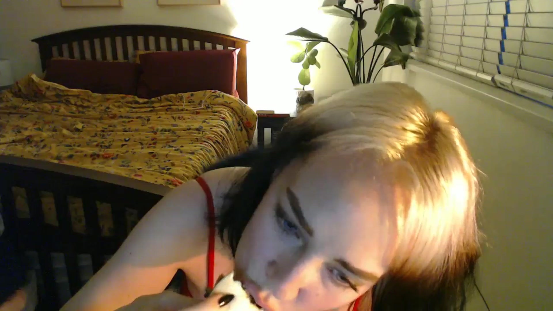 Gallery image thumbnail from NahlaHoney's myfreecams stream on, 10/07/2024, 03:06 image 7 of 20