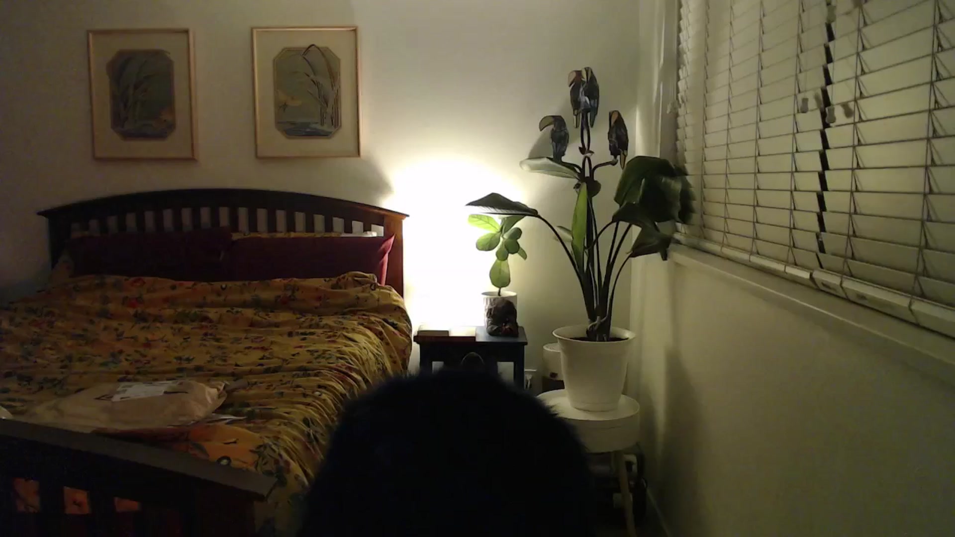 Gallery image thumbnail from NahlaHoney's myfreecams stream on, 10/09/2024, 02:29 image 14 of 20