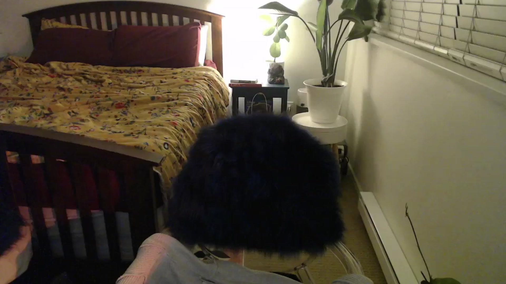 Gallery image thumbnail from NahlaHoney's myfreecams stream on, 10/17/2024, 05:11 image 15 of 20