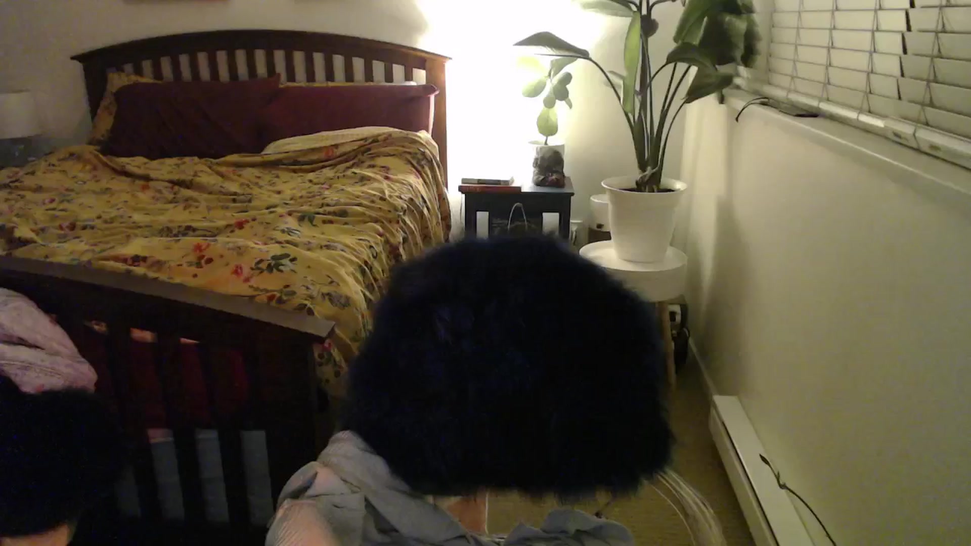 Gallery image thumbnail from NahlaHoney's myfreecams stream on, 10/29/2024, 03:00 image 14 of 20
