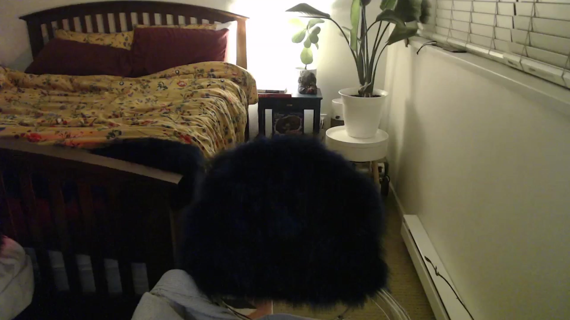 Gallery image thumbnail from NahlaHoney's myfreecams stream on, 11/02/2024, 04:07 image 8 of 20