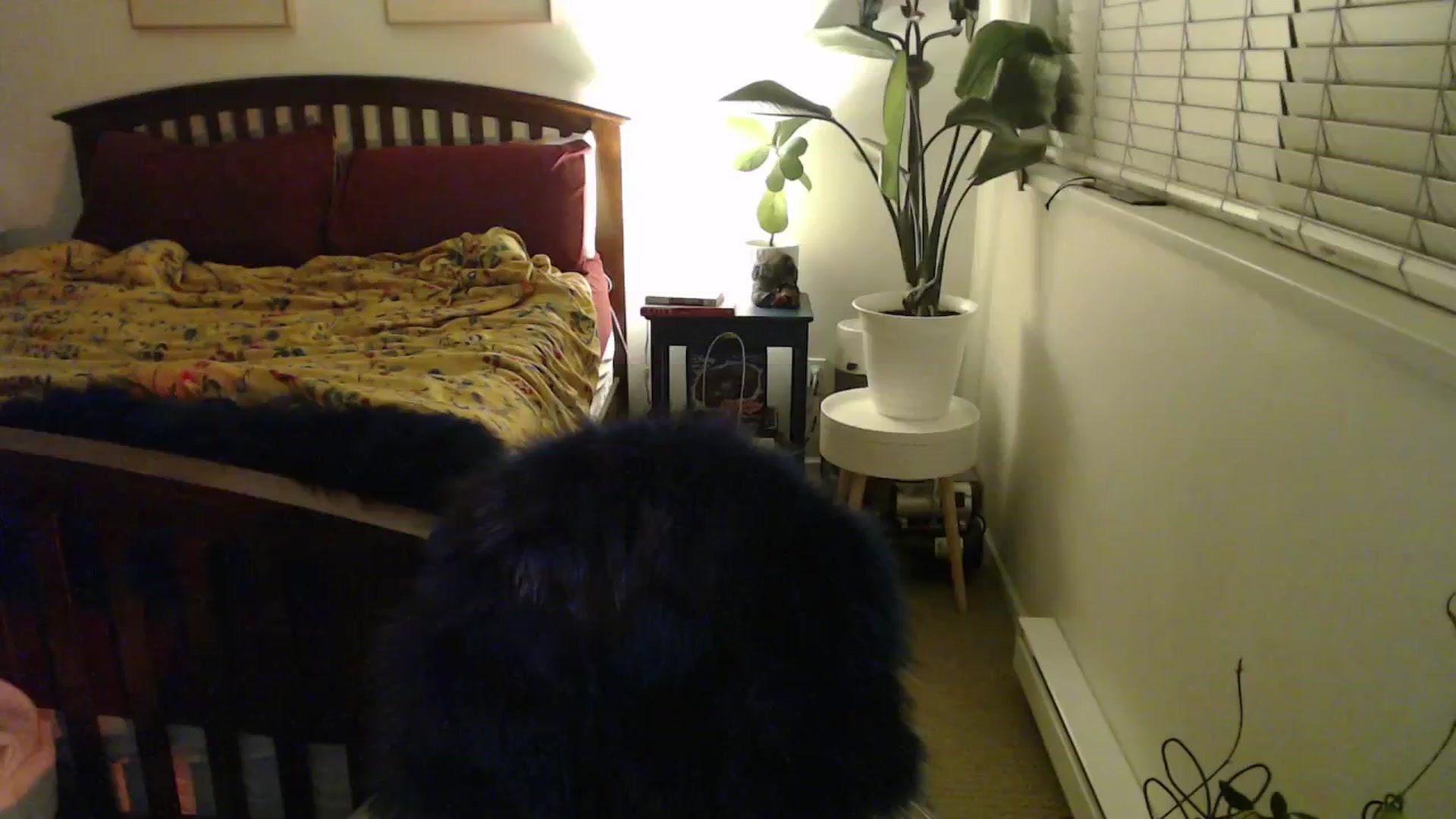 Gallery image thumbnail from NahlaHoney's myfreecams stream on, 11/06/2024, 05:02 image 1 of 20