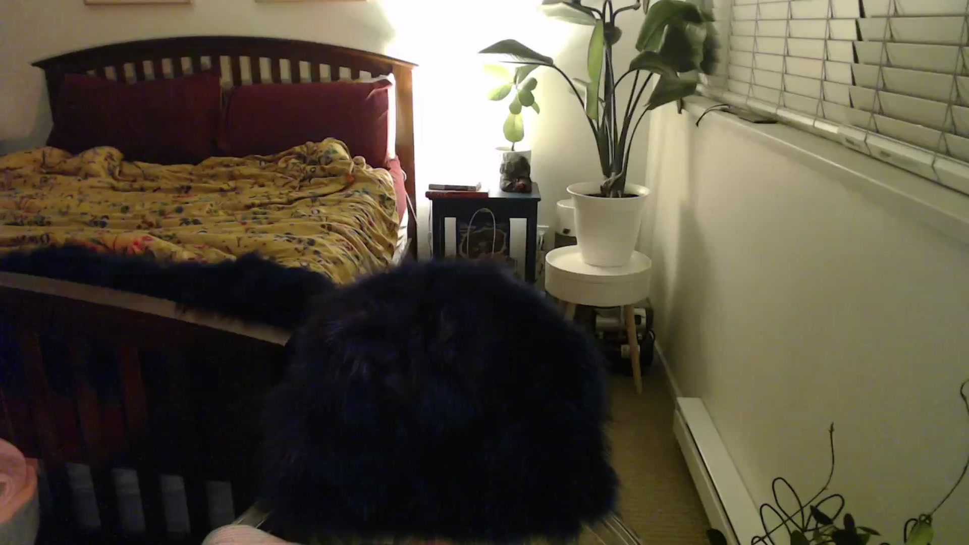 Gallery image thumbnail from NahlaHoney's myfreecams stream on, 11/06/2024, 06:01 image 2 of 20
