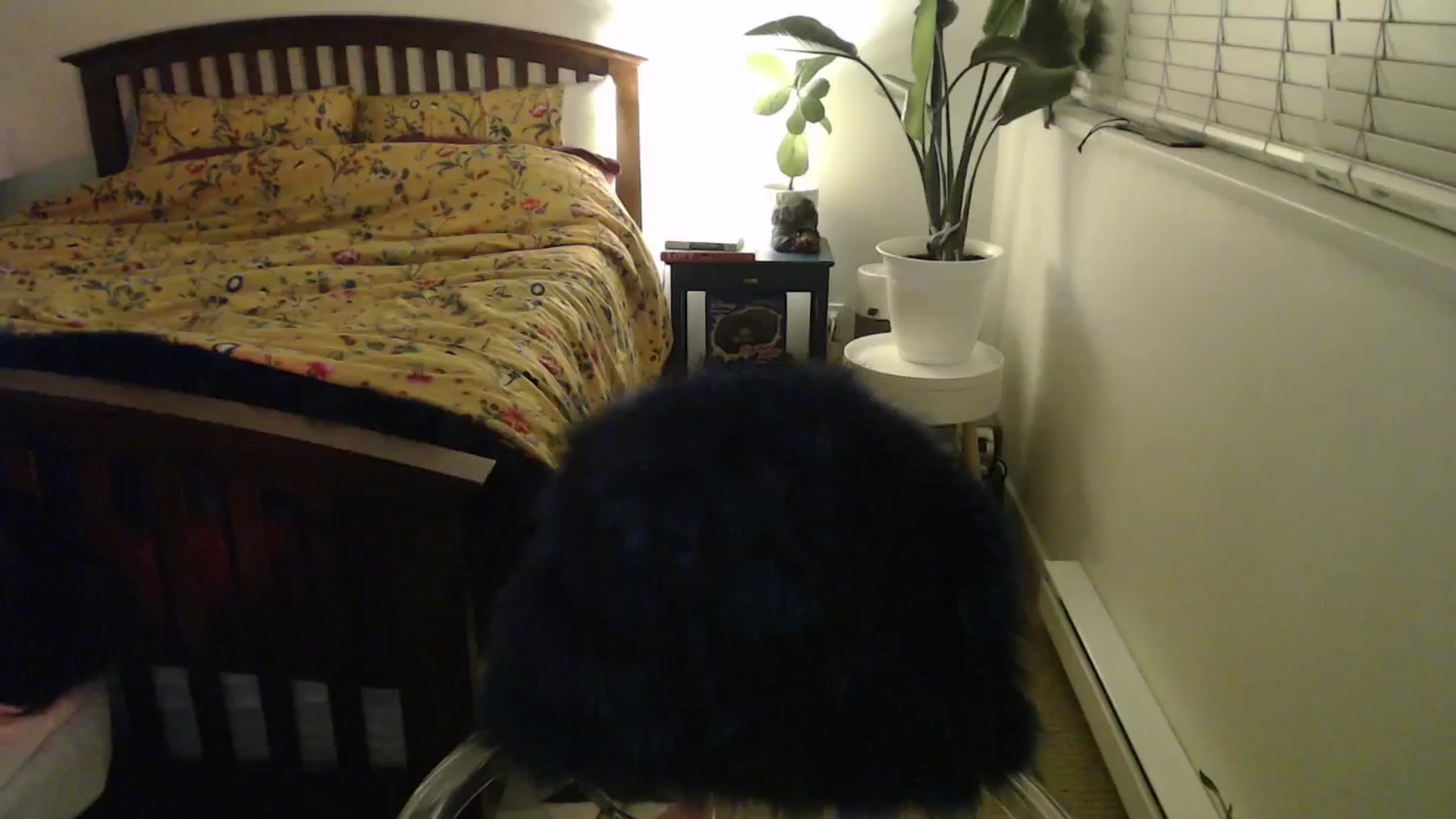 Gallery image thumbnail from NahlaHoney's myfreecams stream on, 11/11/2024, 04:09 image 20 of 20