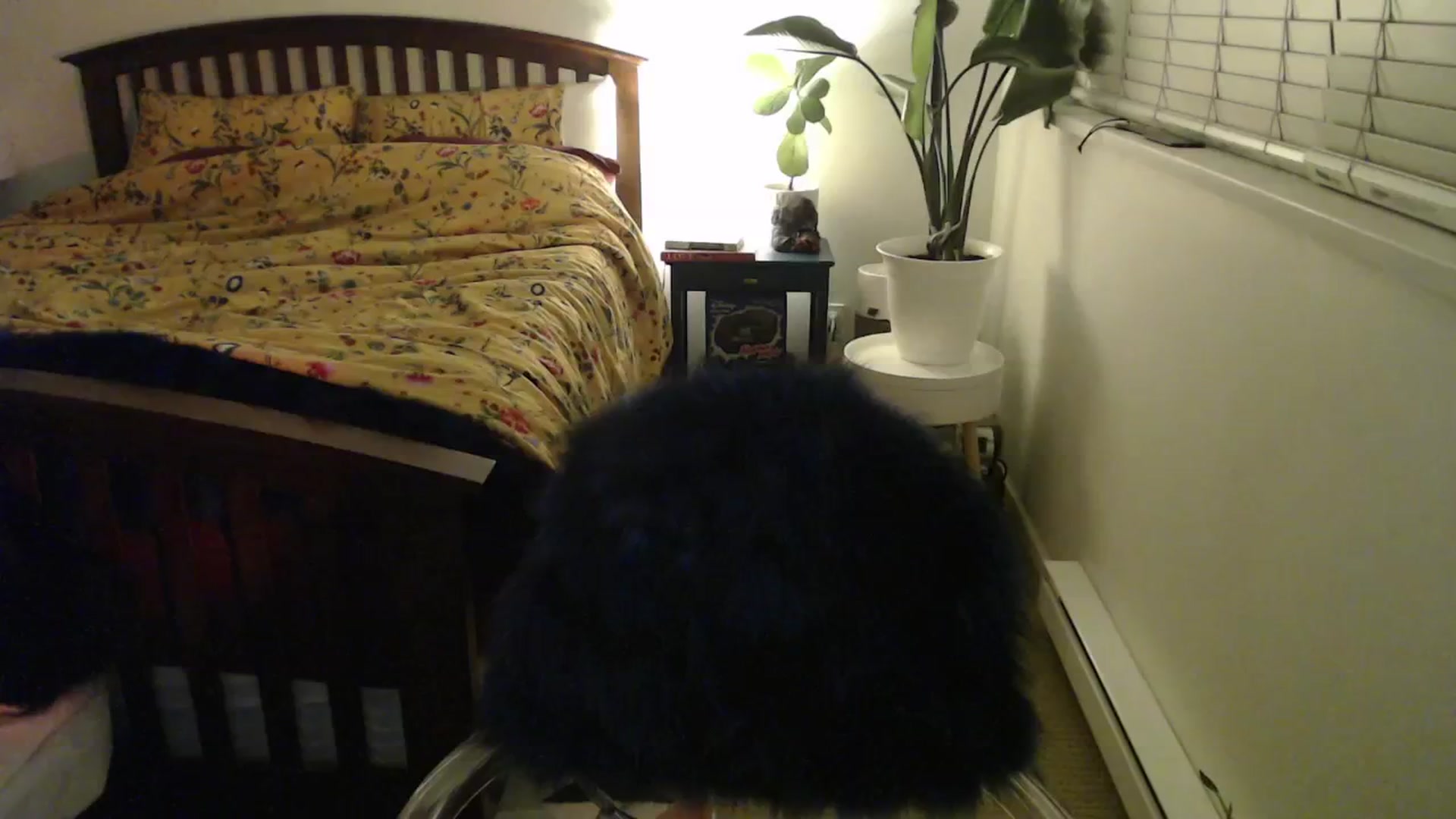 Gallery image thumbnail from NahlaHoney's myfreecams stream on, 11/11/2024, 04:09 image 19 of 20