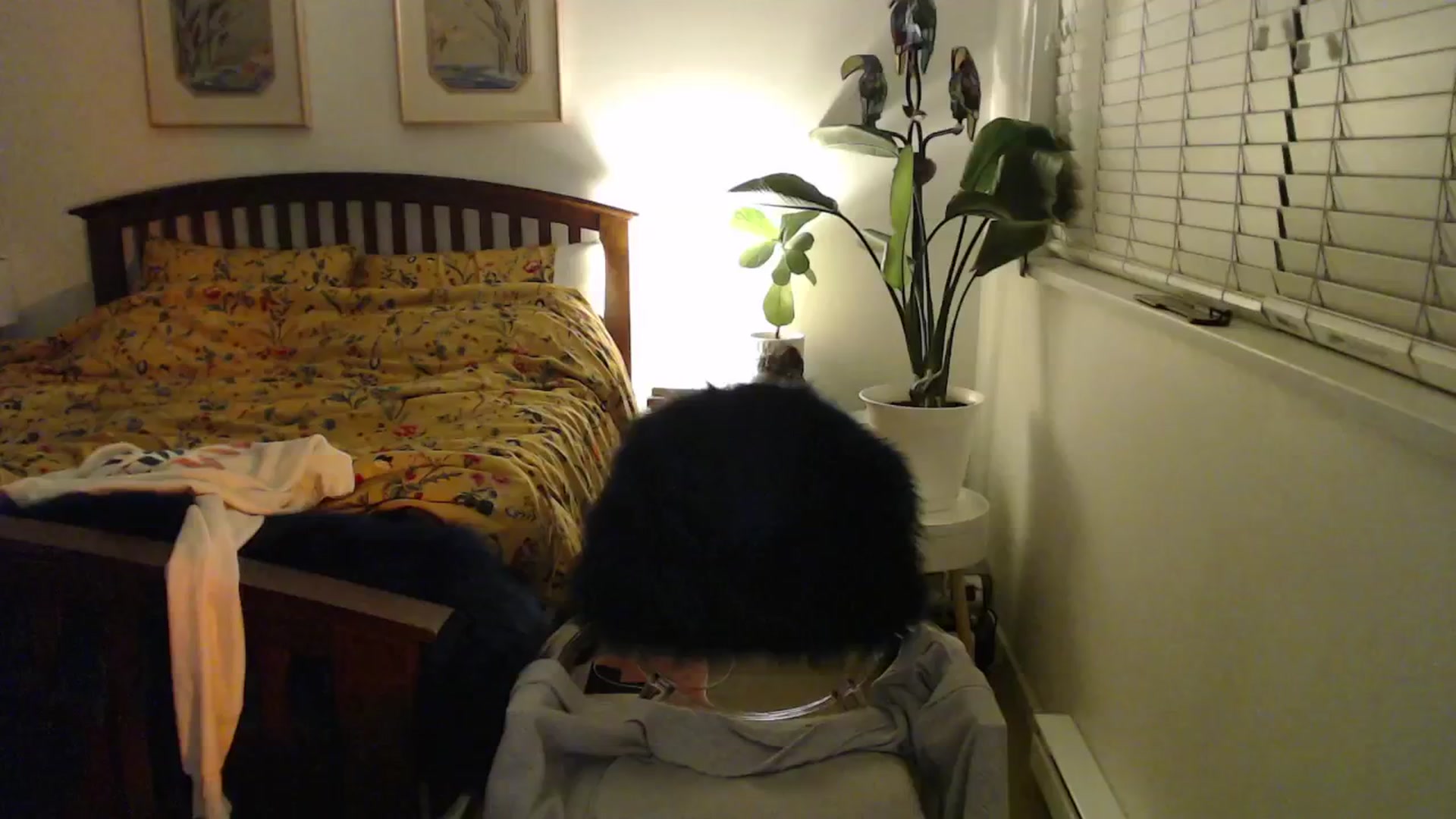 Gallery image thumbnail from NahlaHoney's myfreecams stream on, 11/14/2024, 06:19 image 12 of 20
