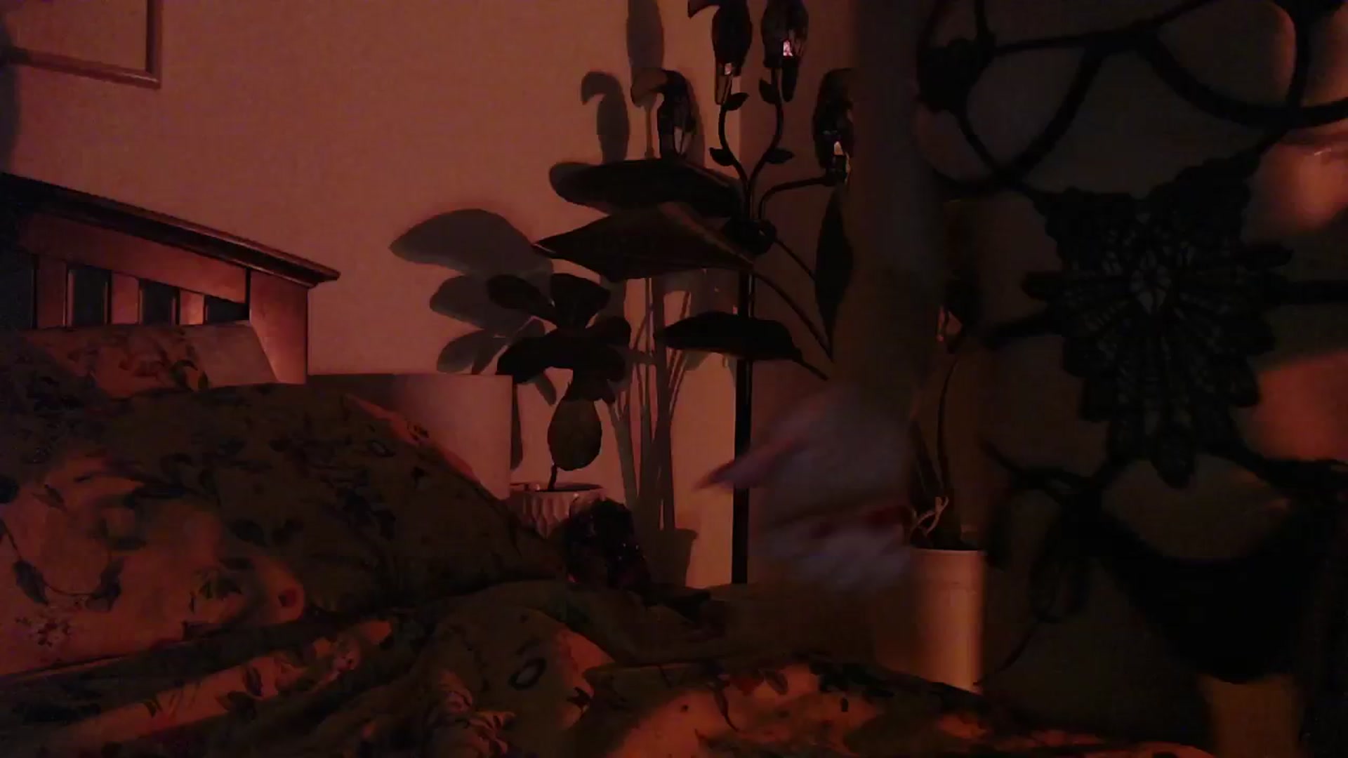 Gallery image thumbnail from NahlaHoney's myfreecams stream on, 11/14/2024, 06:19 image 16 of 20
