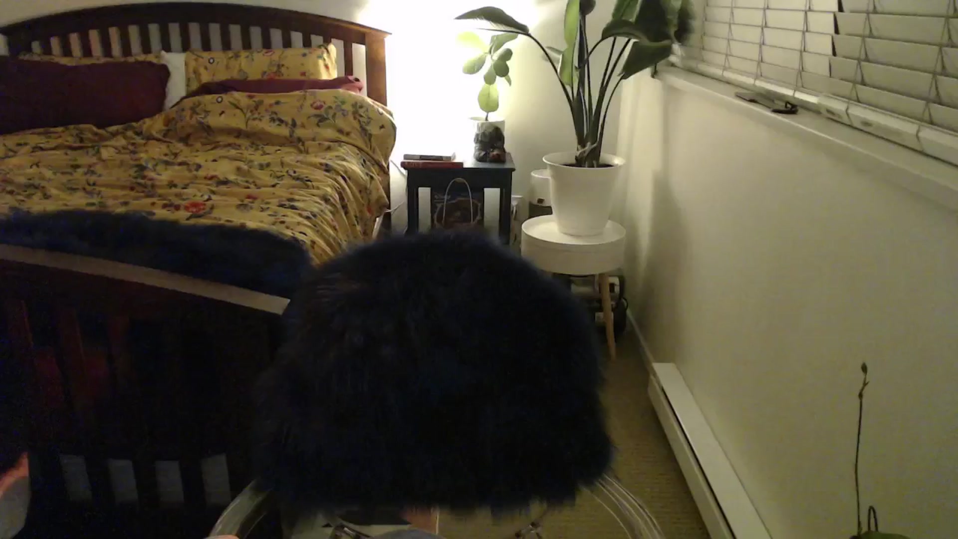 Gallery image thumbnail from NahlaHoney's myfreecams stream on, 11/18/2024, 06:03 image 18 of 20