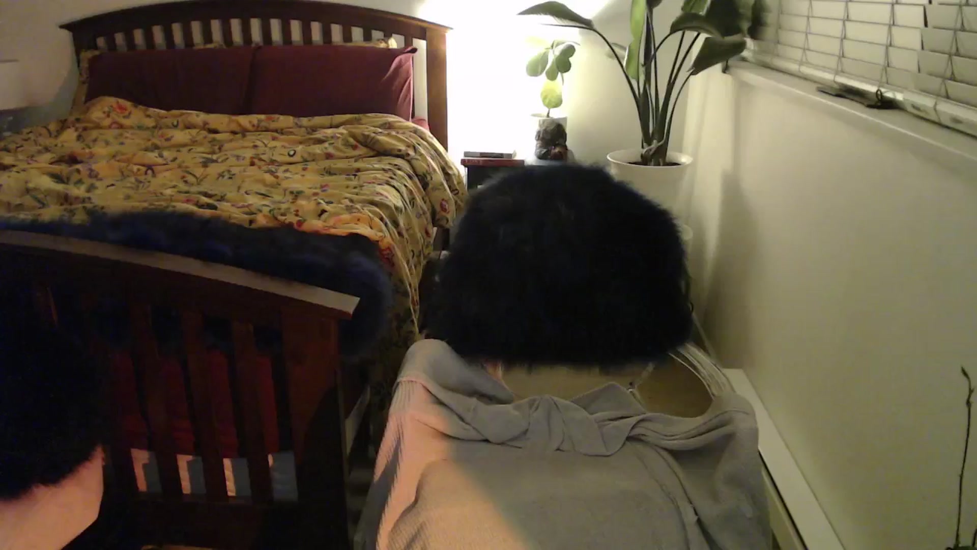 Gallery image thumbnail from NahlaHoney's myfreecams stream on, 11/22/2024, 04:16 image 20 of 20