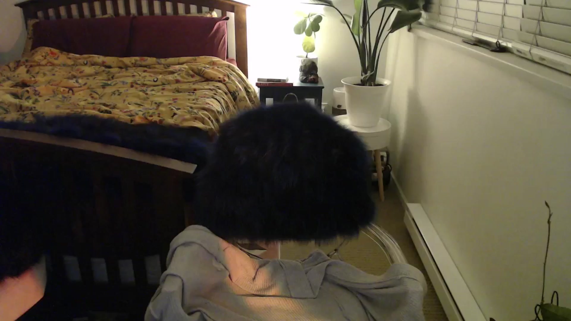 Gallery image thumbnail from NahlaHoney's myfreecams stream on, 11/22/2024, 04:16 image 2 of 20