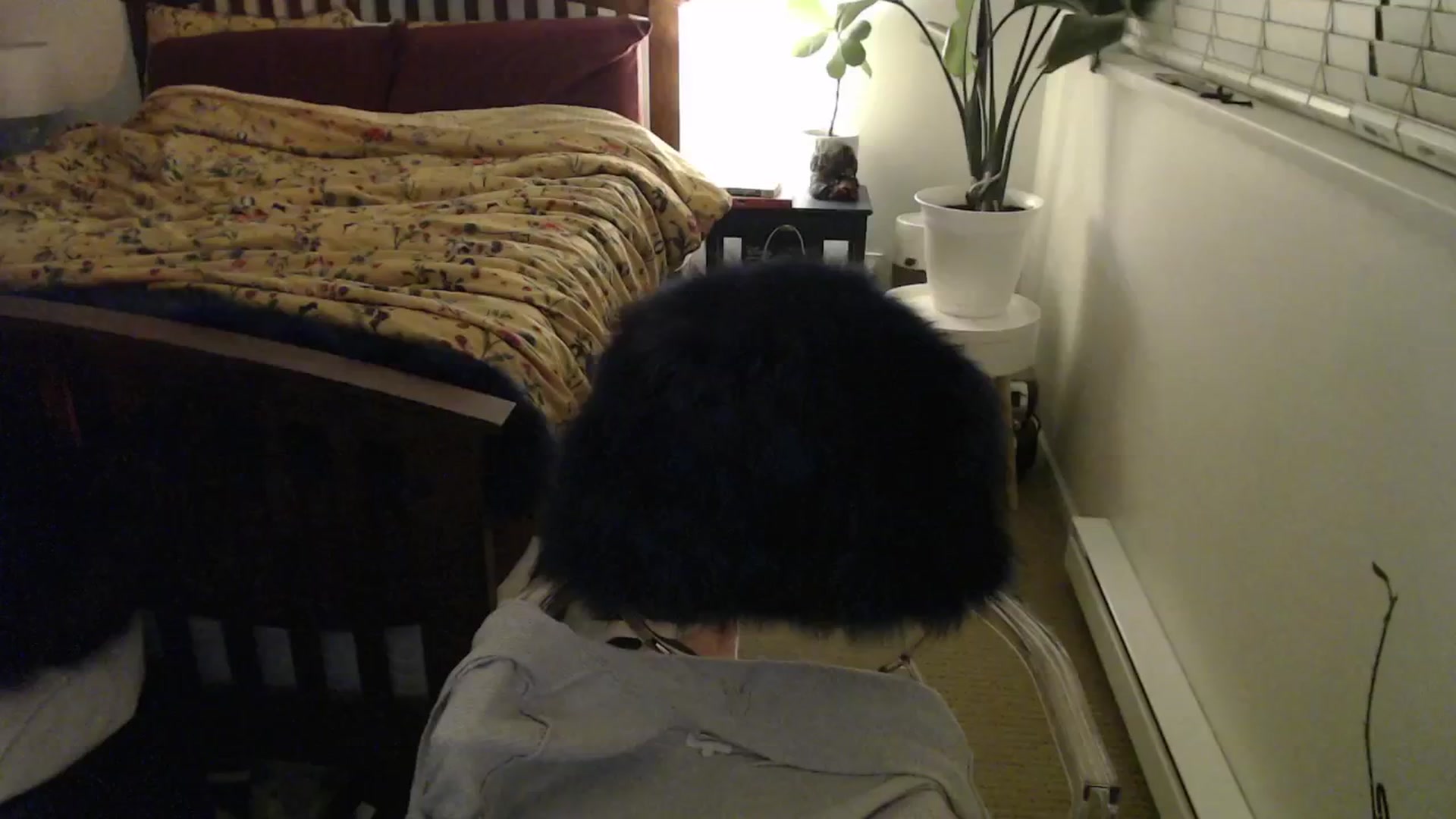 Gallery image thumbnail from NahlaHoney's myfreecams stream on, 11/23/2024, 04:16 image 20 of 20