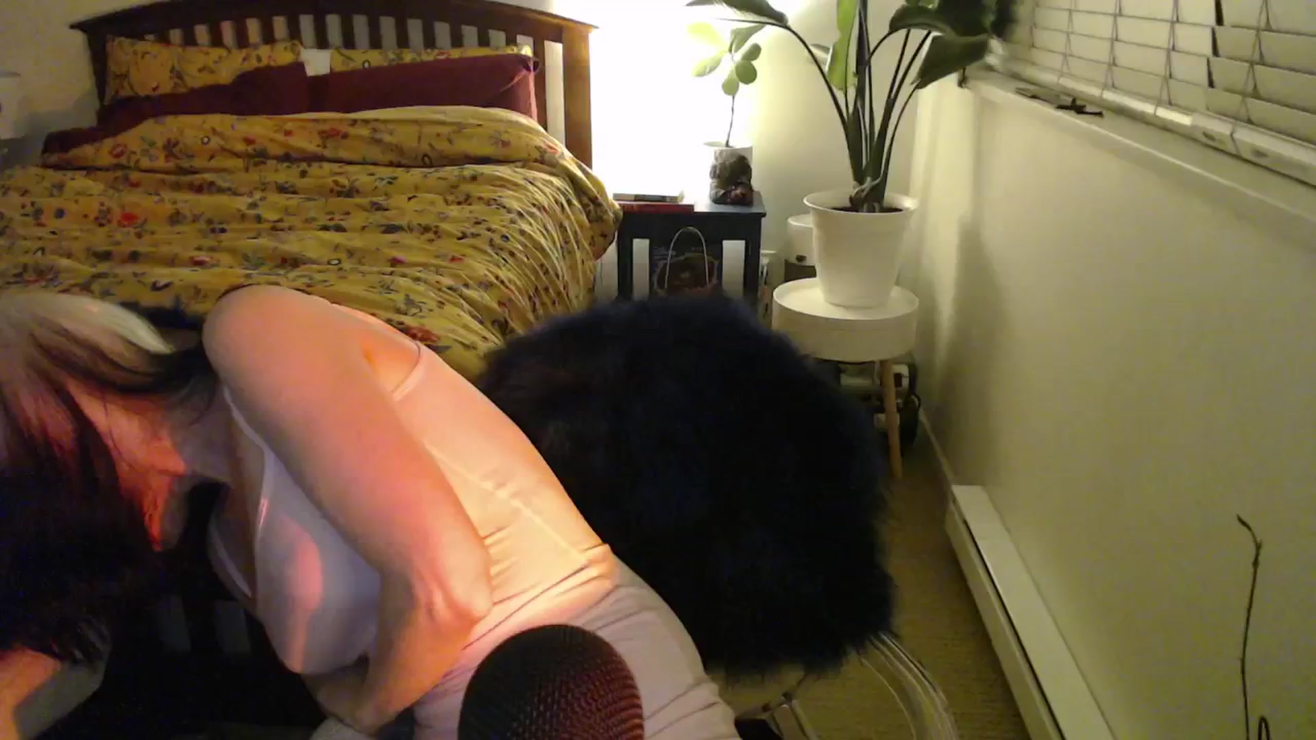 Gallery image thumbnail from NahlaHoney's myfreecams stream on, 11/26/2024, 04:54 image 20 of 20