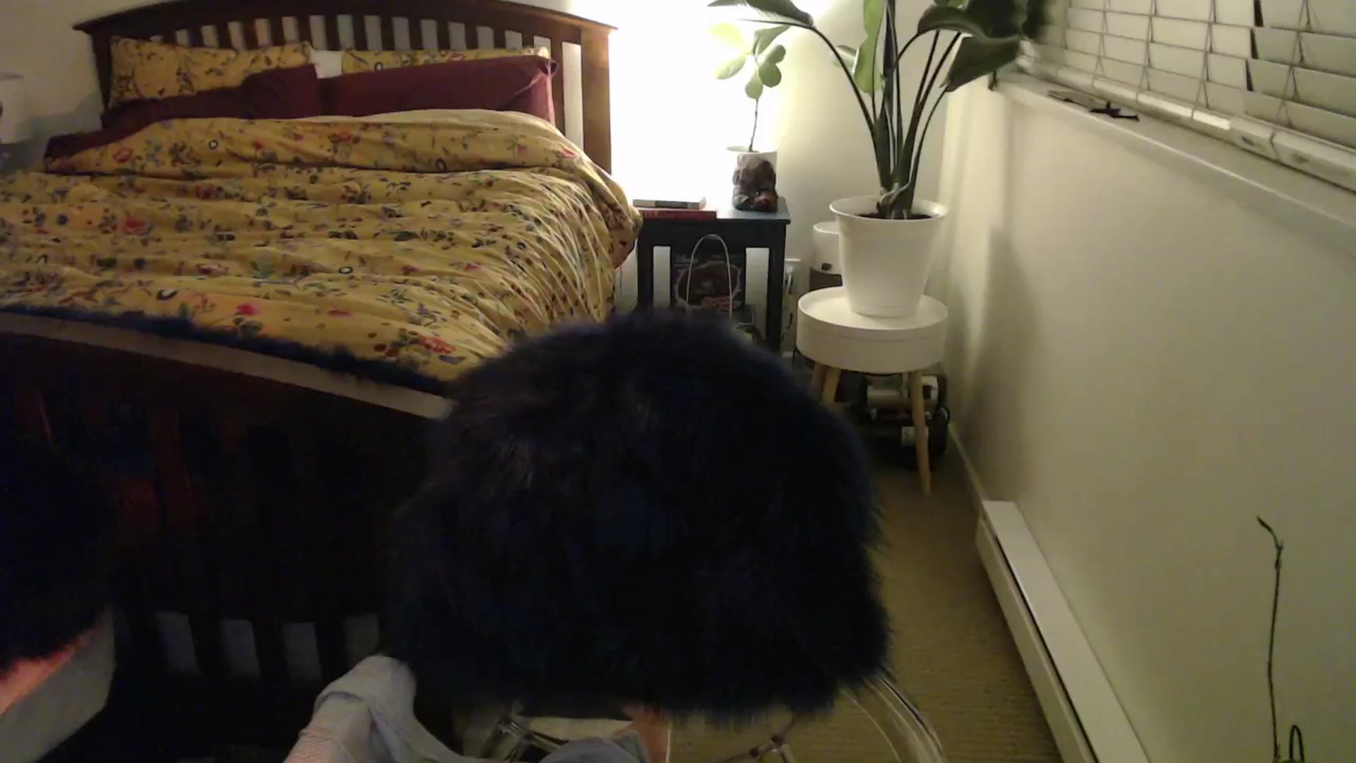 Gallery image thumbnail from NahlaHoney's myfreecams stream on, 11/26/2024, 05:32 image 18 of 20