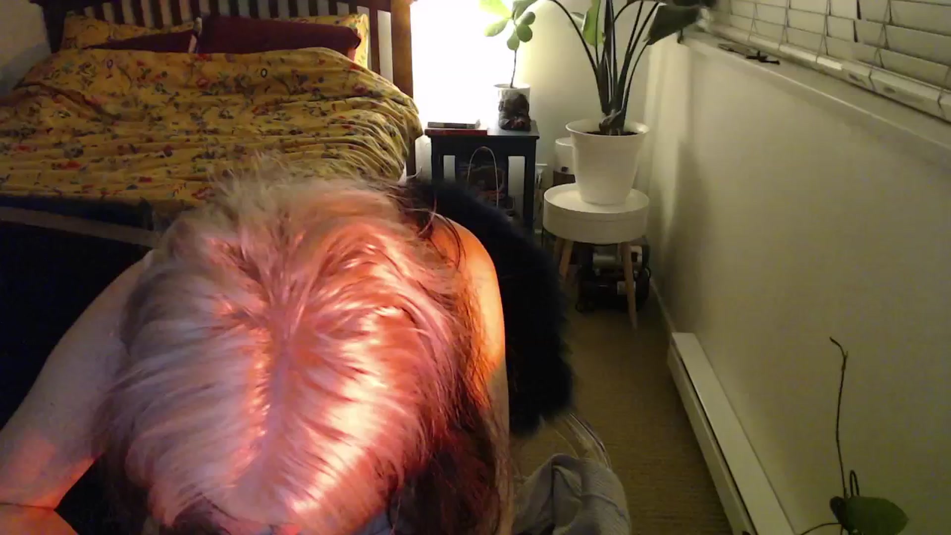 Gallery image thumbnail from NahlaHoney's myfreecams stream on, 11/27/2024, 04:06 image 5 of 20