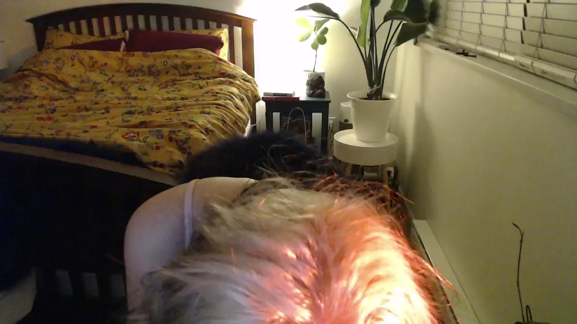 Gallery image thumbnail from NahlaHoney's myfreecams stream on, 11/27/2024, 04:06 image 17 of 20