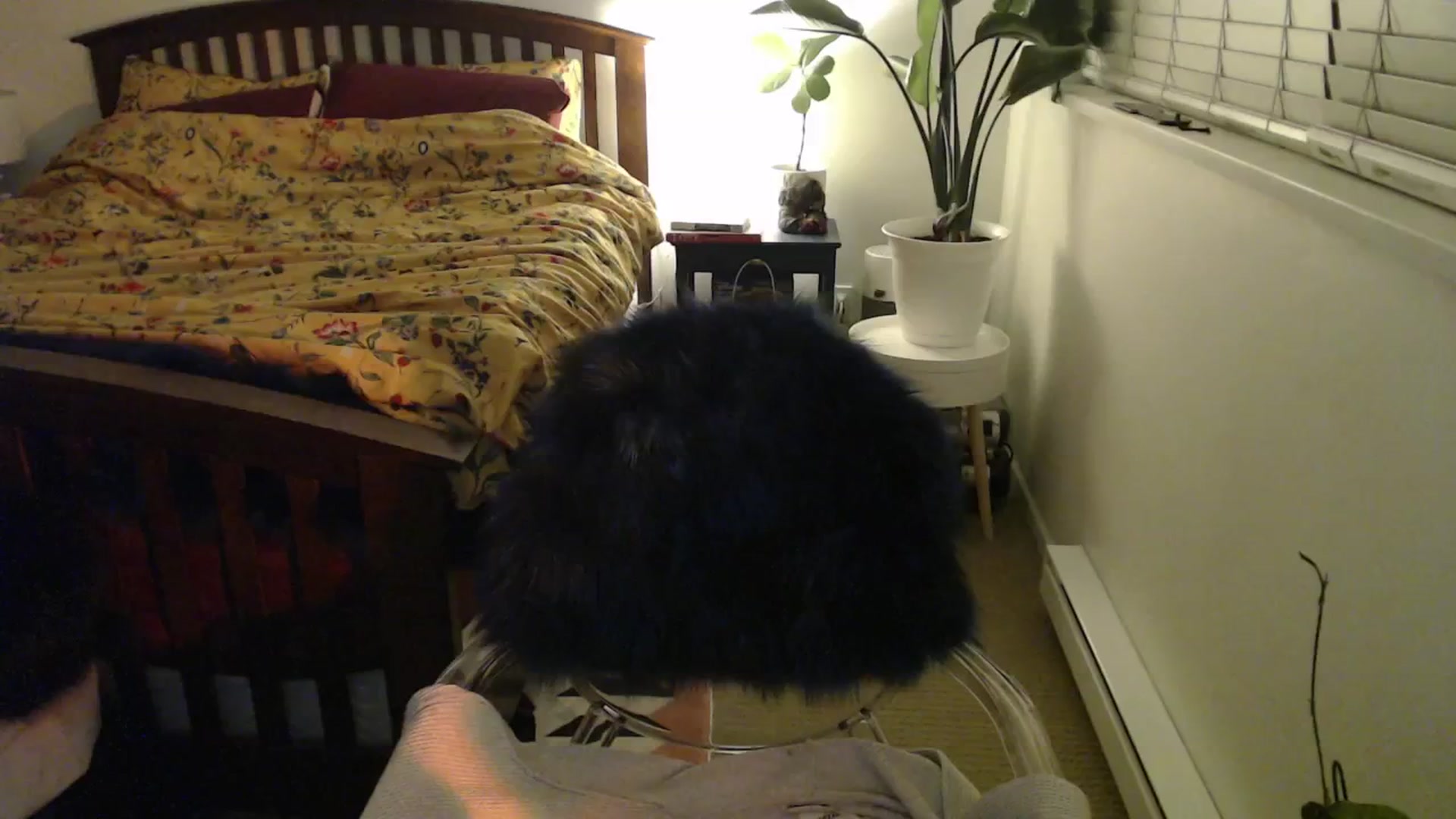 Gallery image thumbnail from NahlaHoney's myfreecams stream on, 11/27/2024, 05:15 image 20 of 20