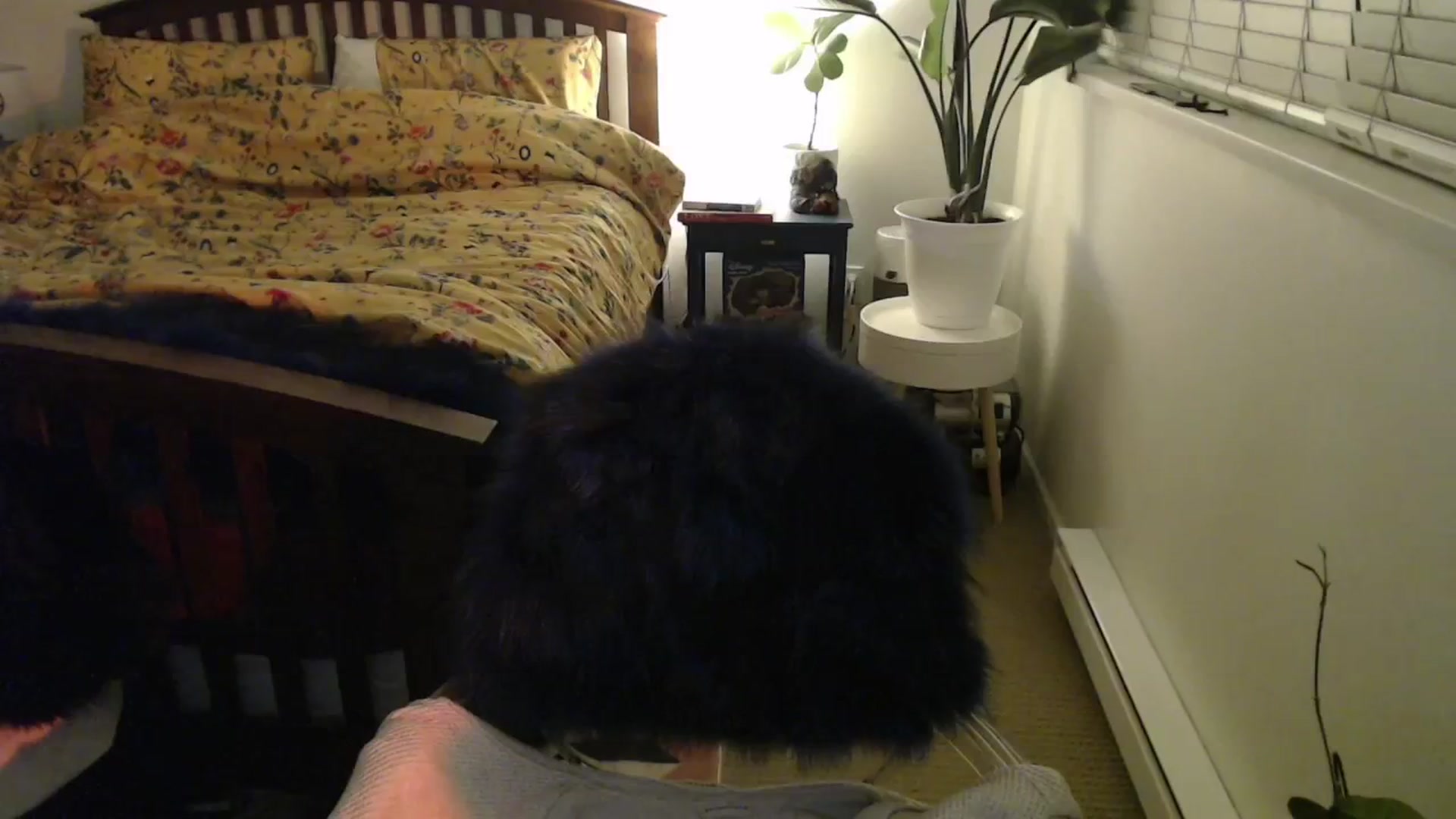 Gallery image thumbnail from NahlaHoney's myfreecams stream on, 12/03/2024, 03:49 image 13 of 20