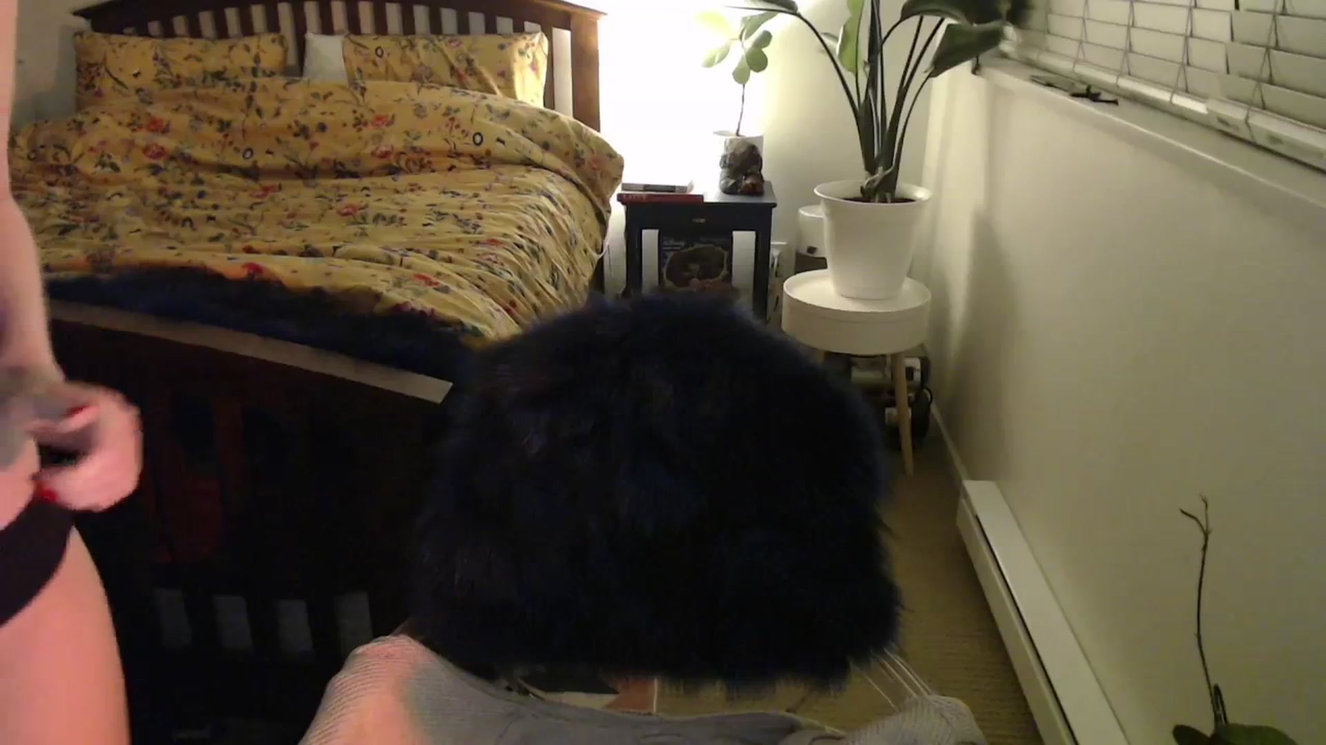 Gallery image thumbnail from NahlaHoney's myfreecams stream on, 12/03/2024, 03:49 image 14 of 20