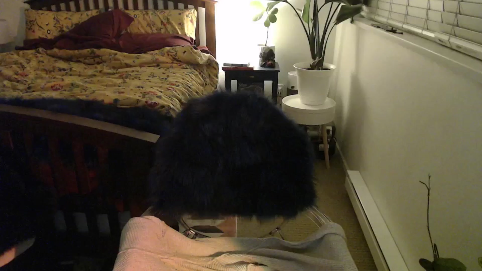 Gallery image thumbnail from NahlaHoney's myfreecams stream on, 12/05/2024, 06:21 image 7 of 20