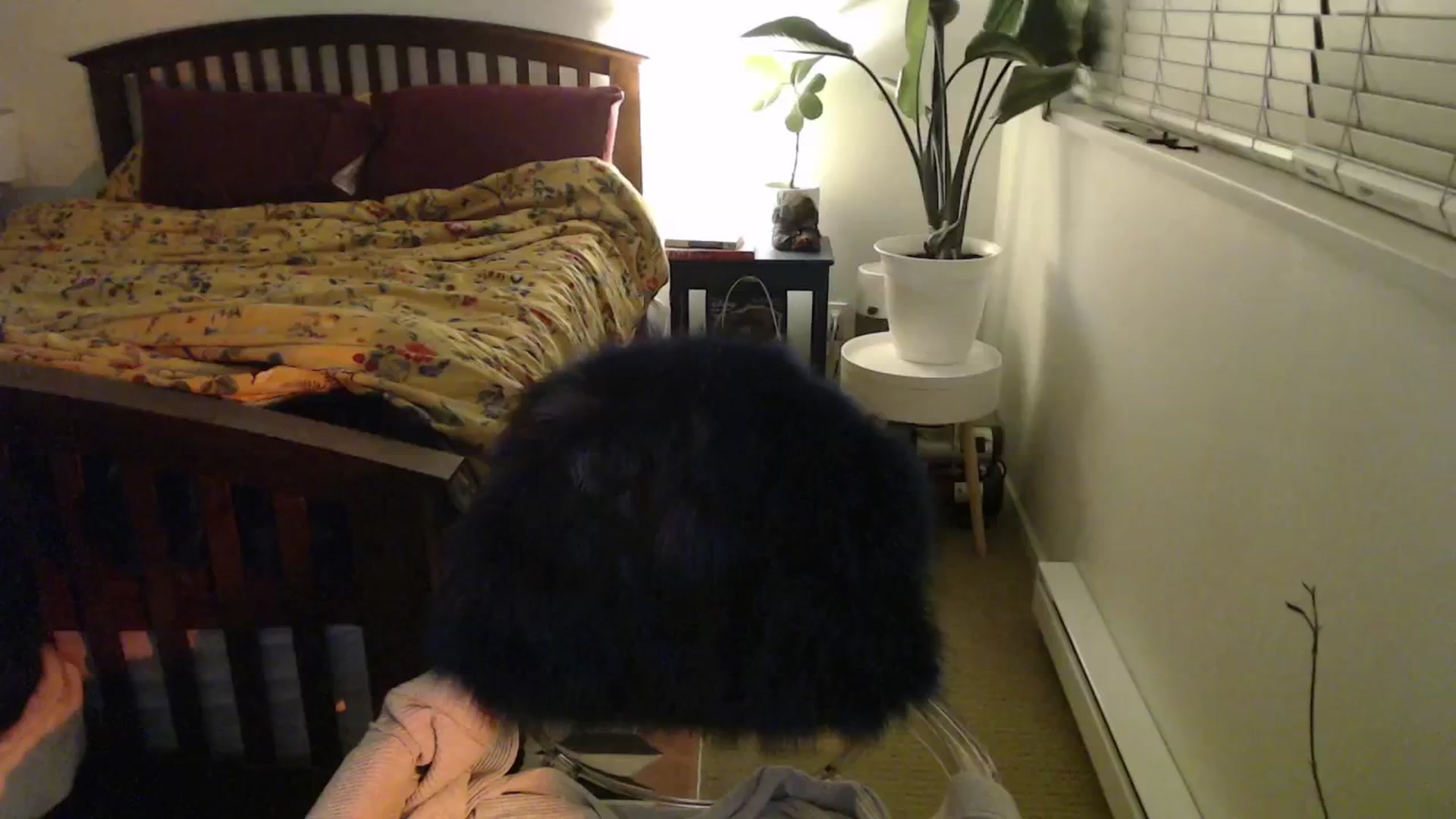 Gallery image thumbnail from NahlaHoney's myfreecams stream on, 12/09/2024, 05:30 image 3 of 20